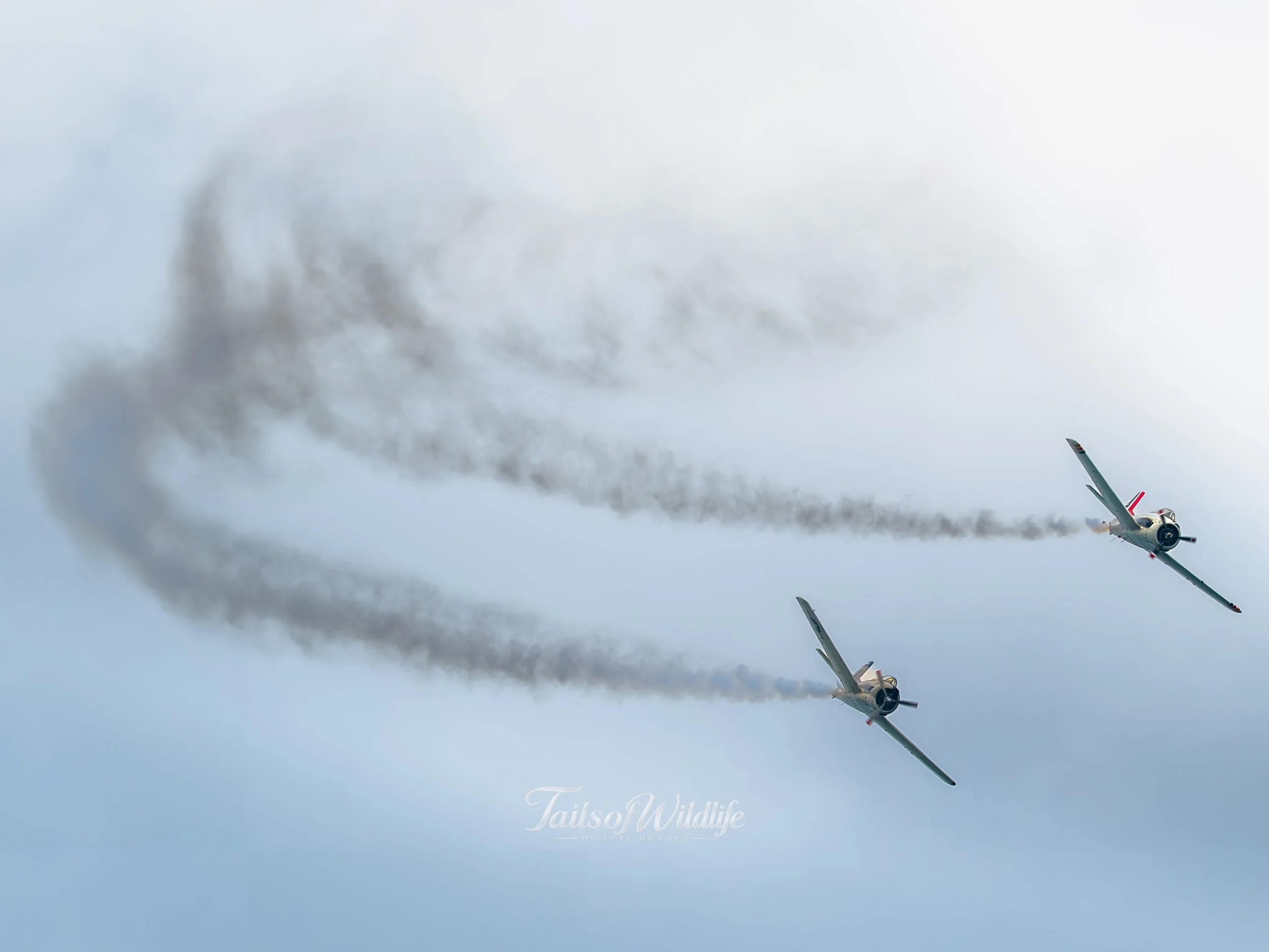 LZ8_3790.jpg