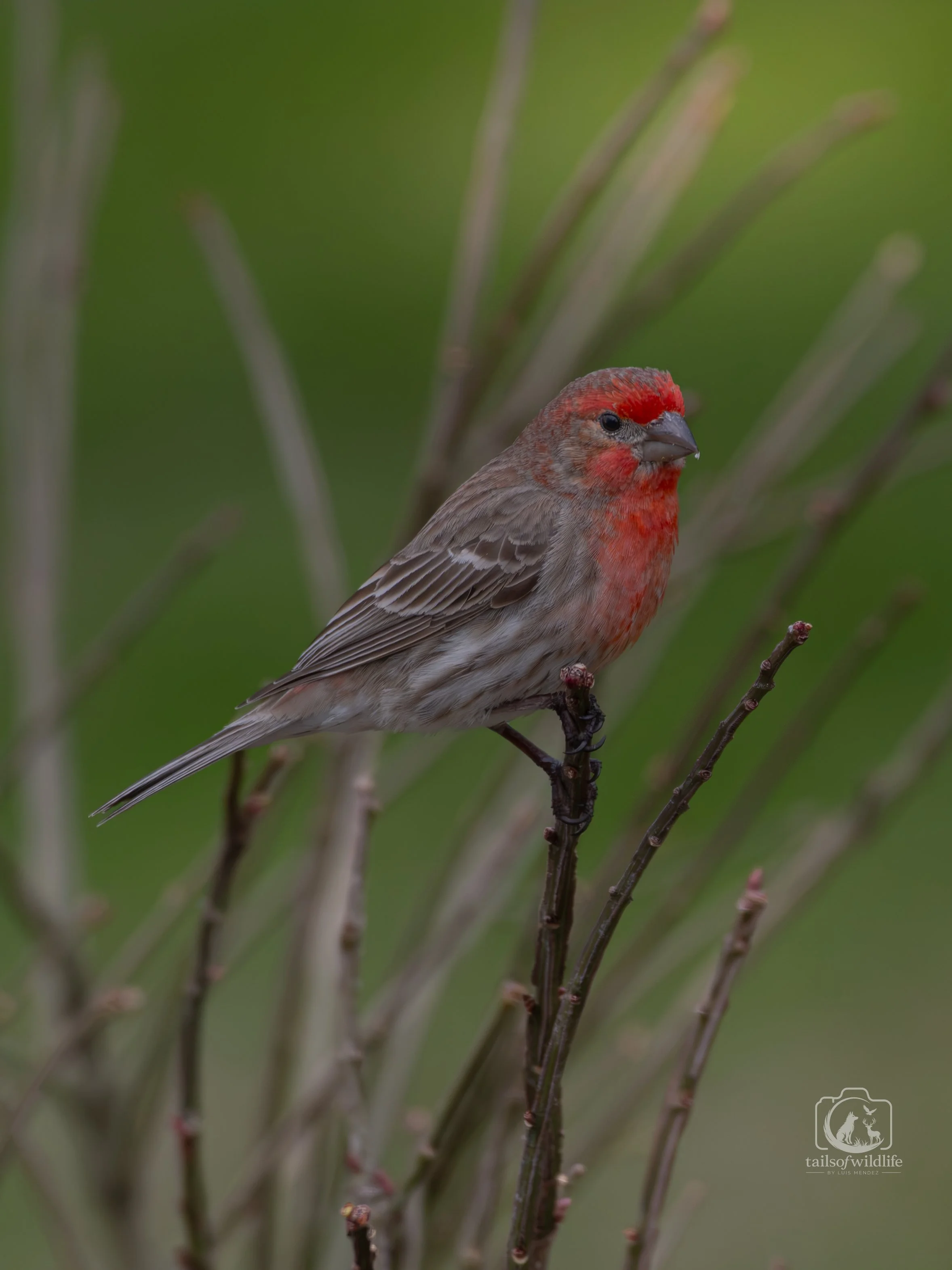 DSC_8841-2.jpg
