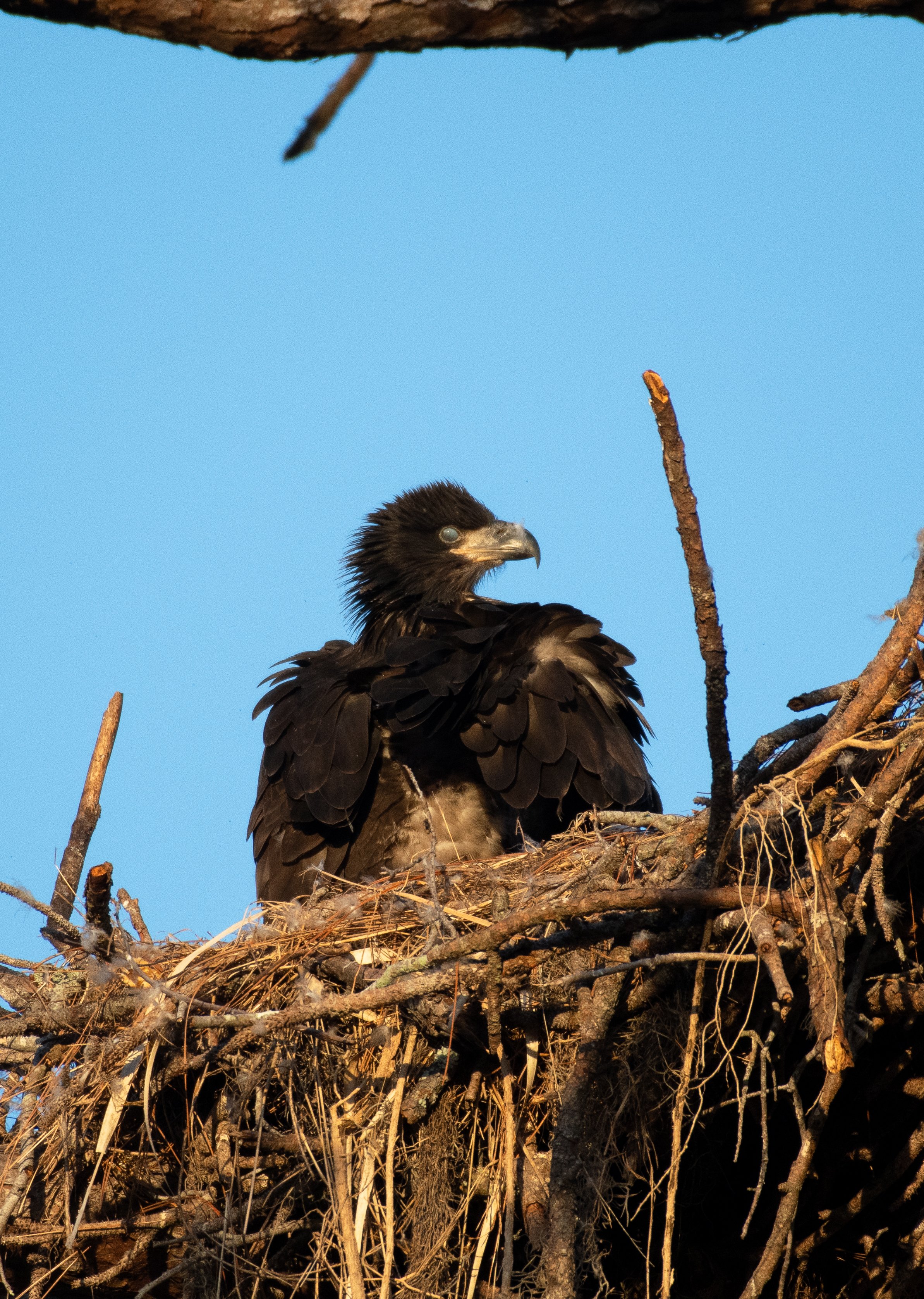 DSC_7426.jpg