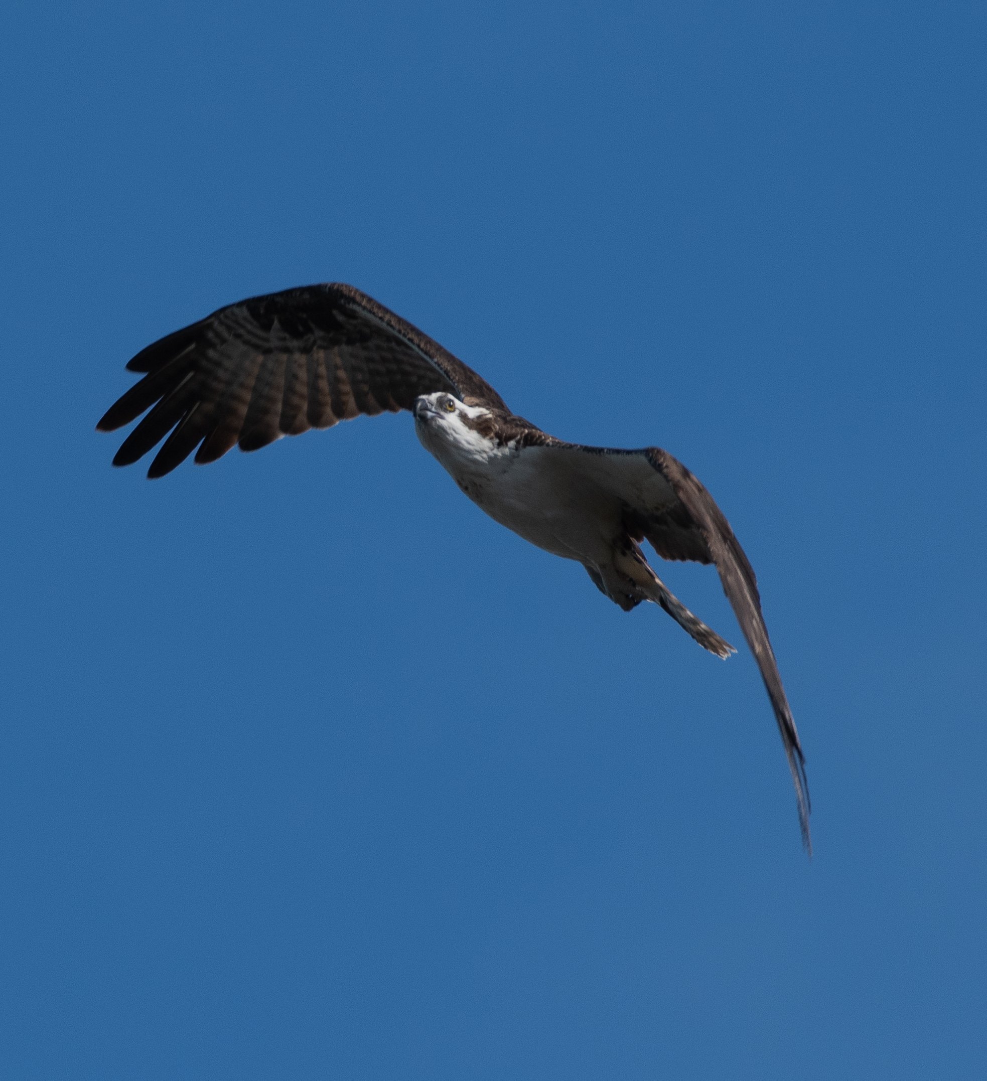 DSC_8091.jpg