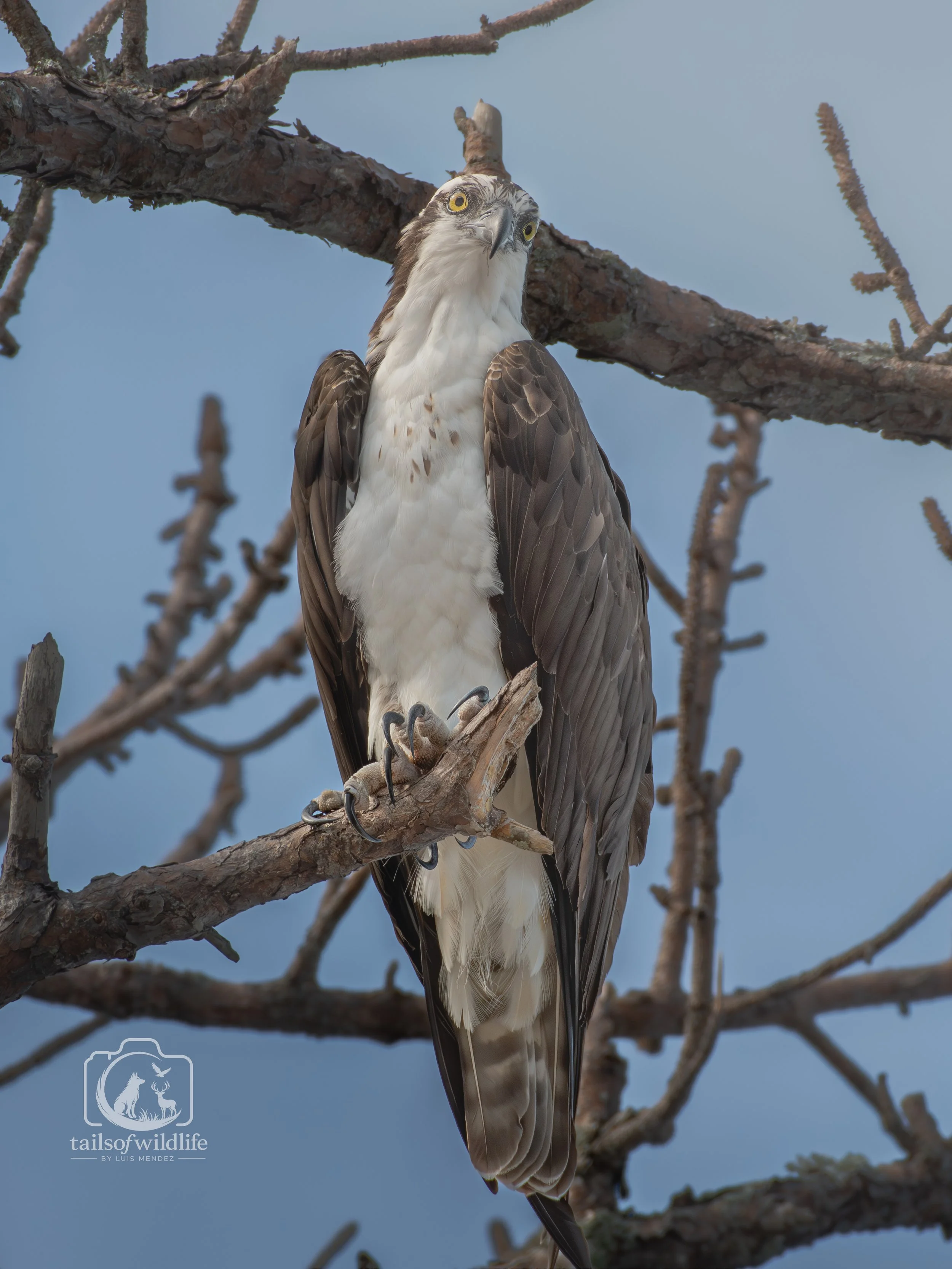 DSC_3268.jpg