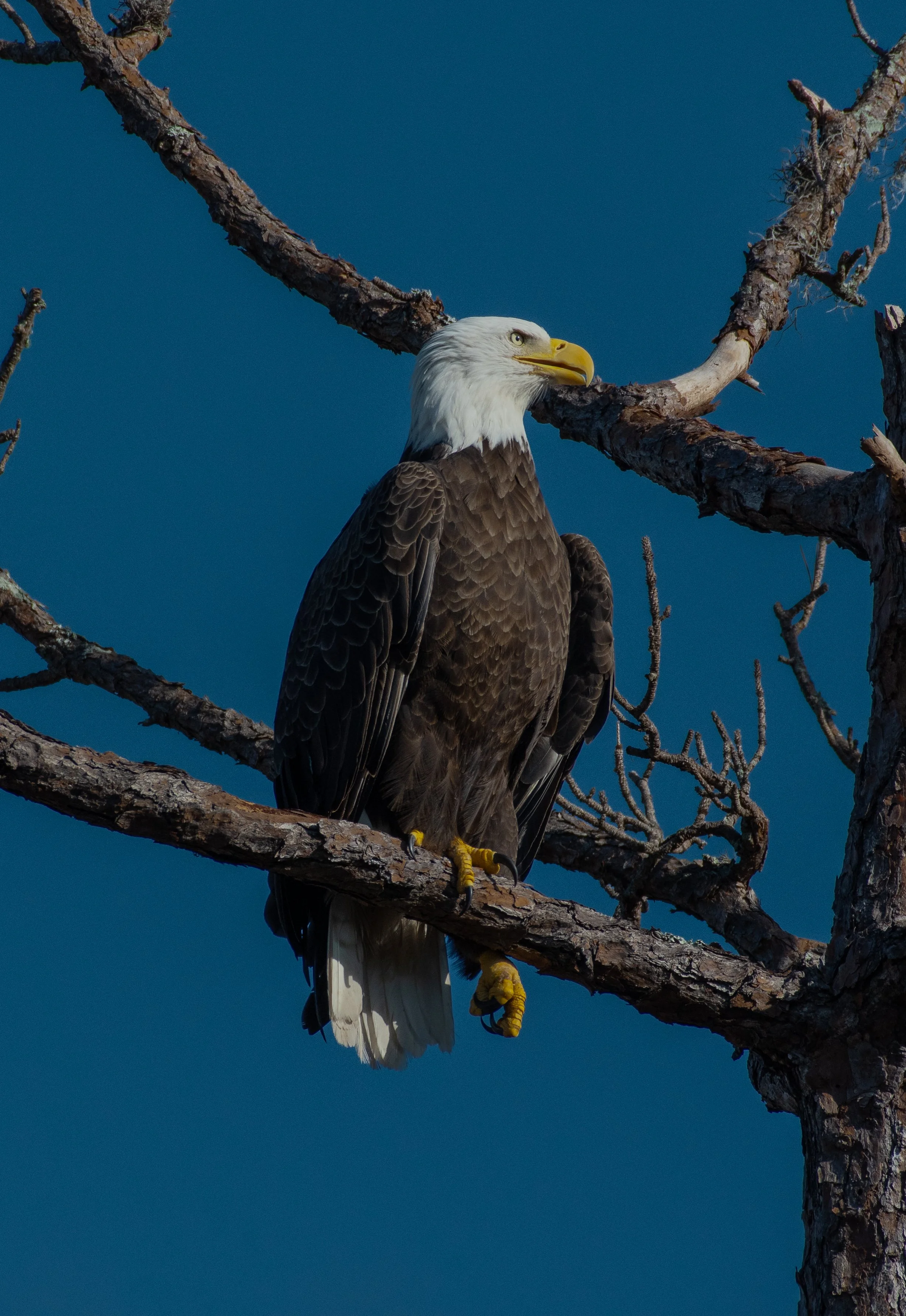 DSC_4680.jpg