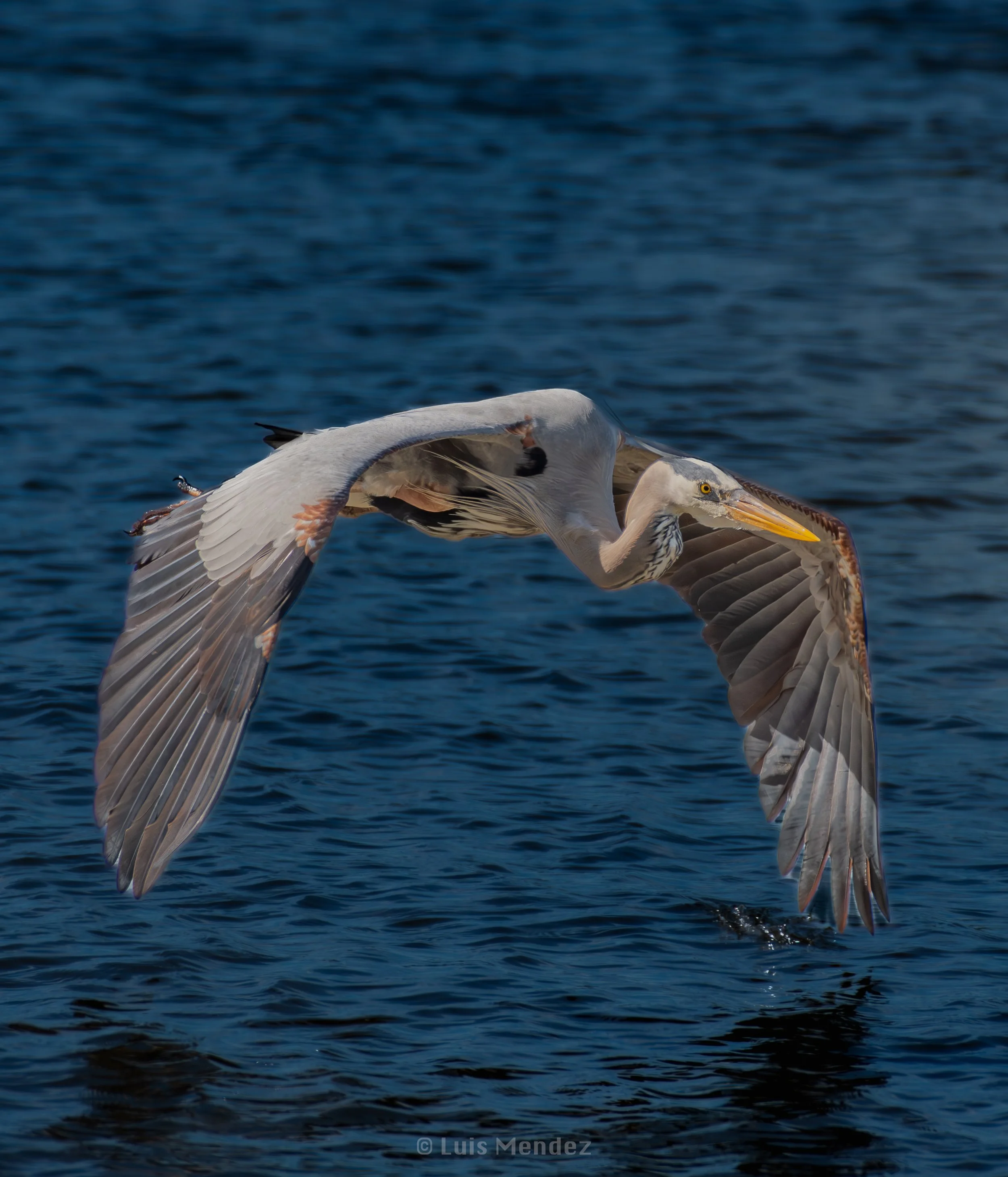 DSC_8140.jpg