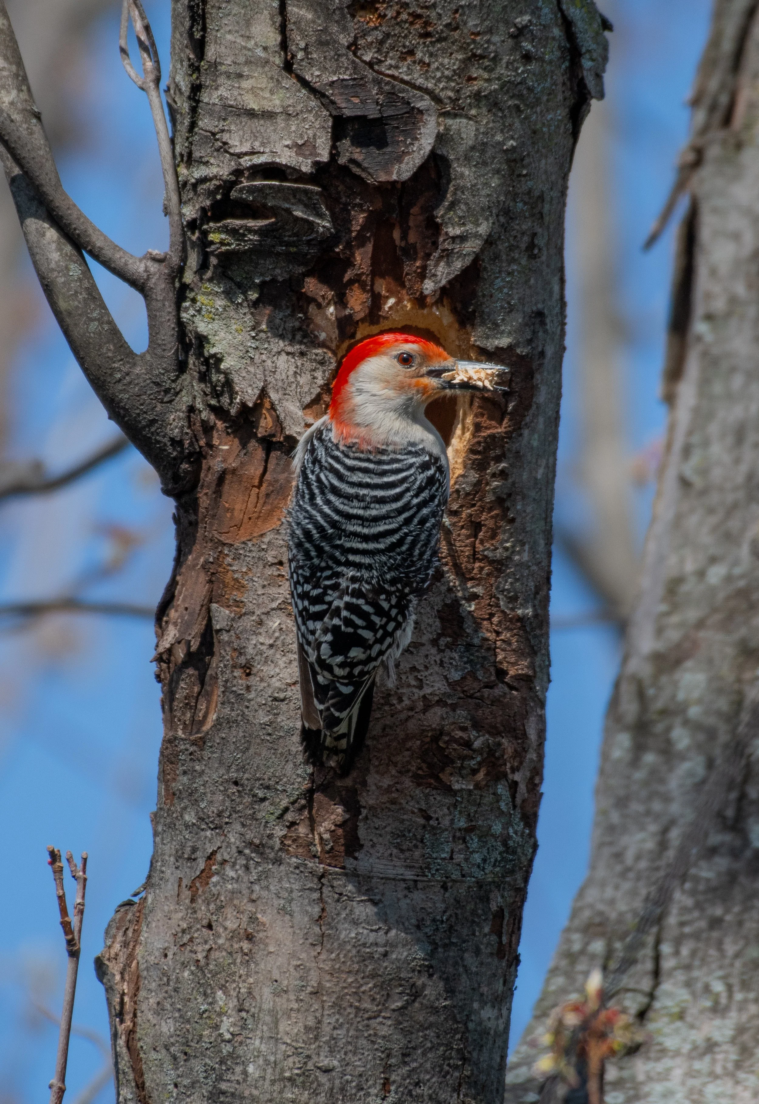 DSC_8979.jpg