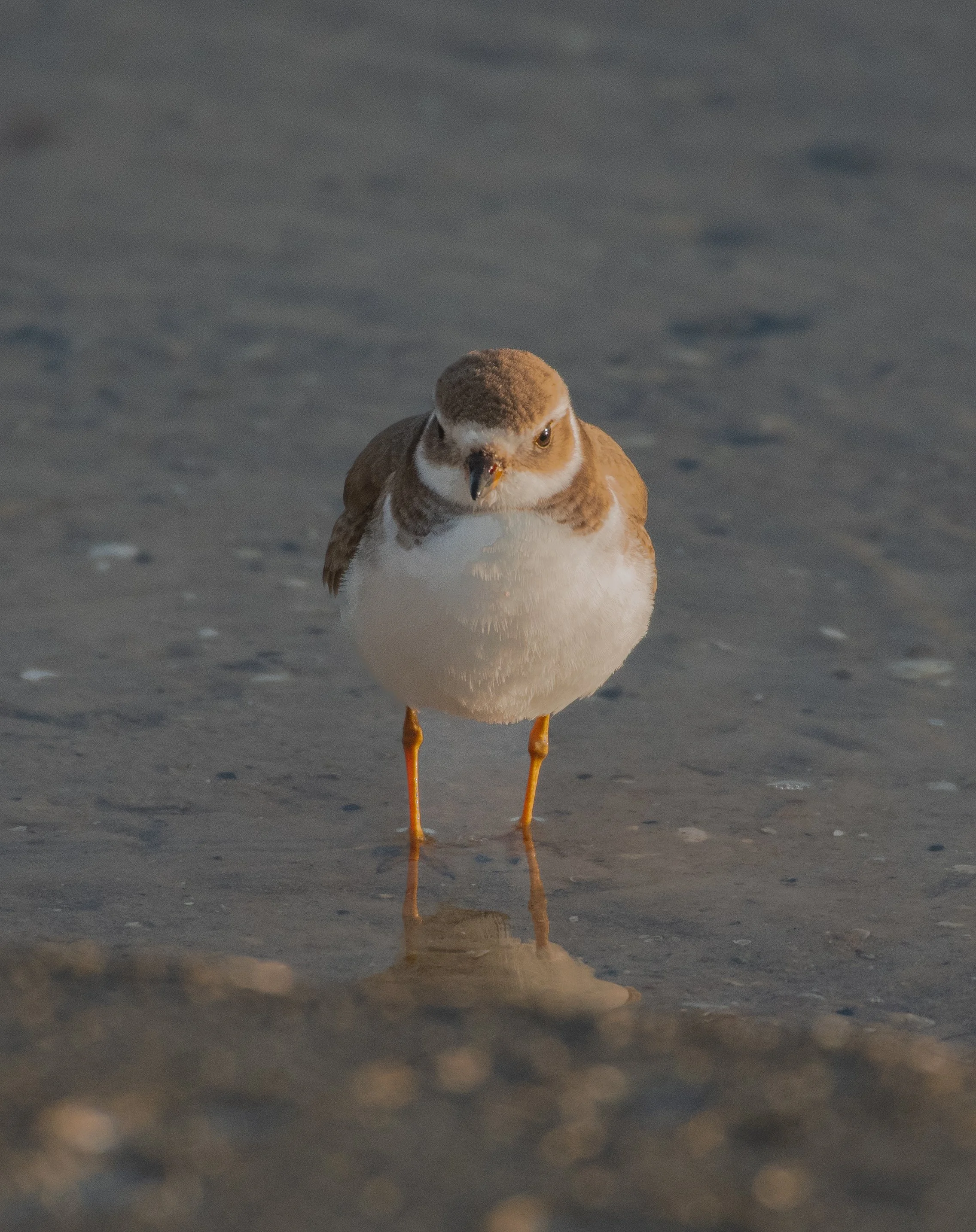 DSC_5070.jpg