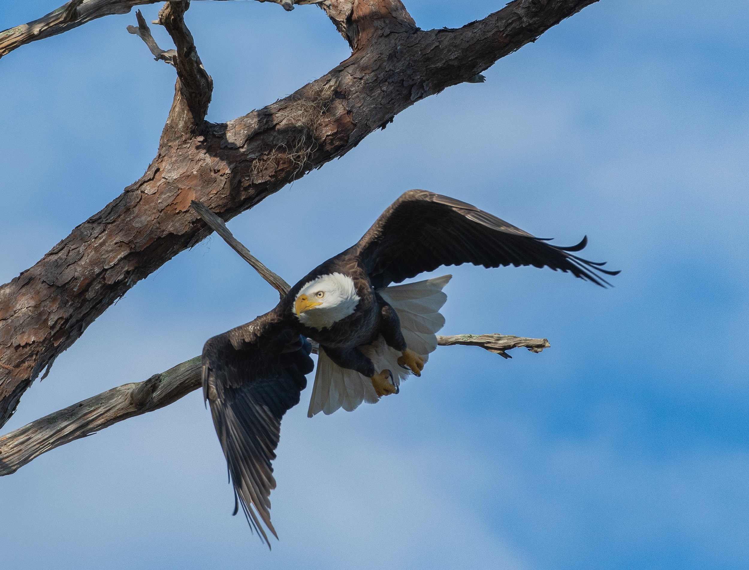 DSC_3954.jpg