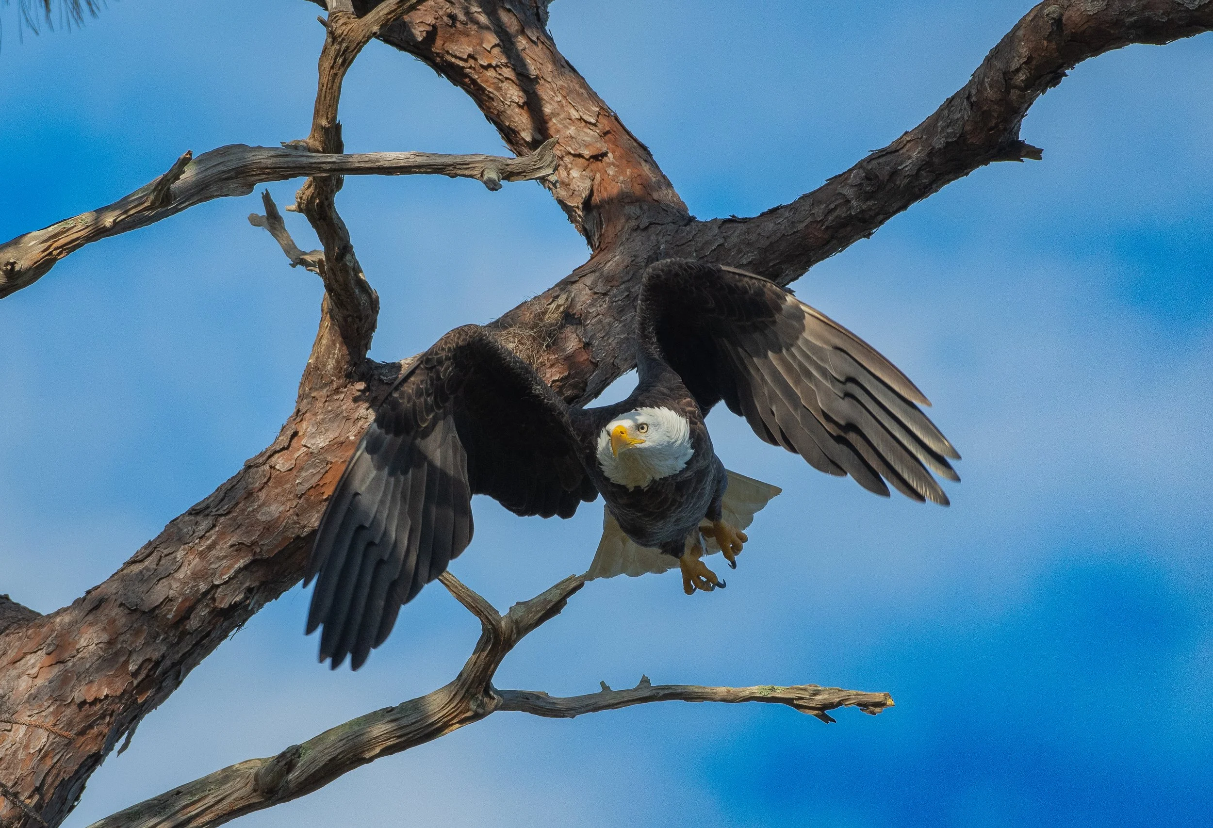 DSC_3952.JPG