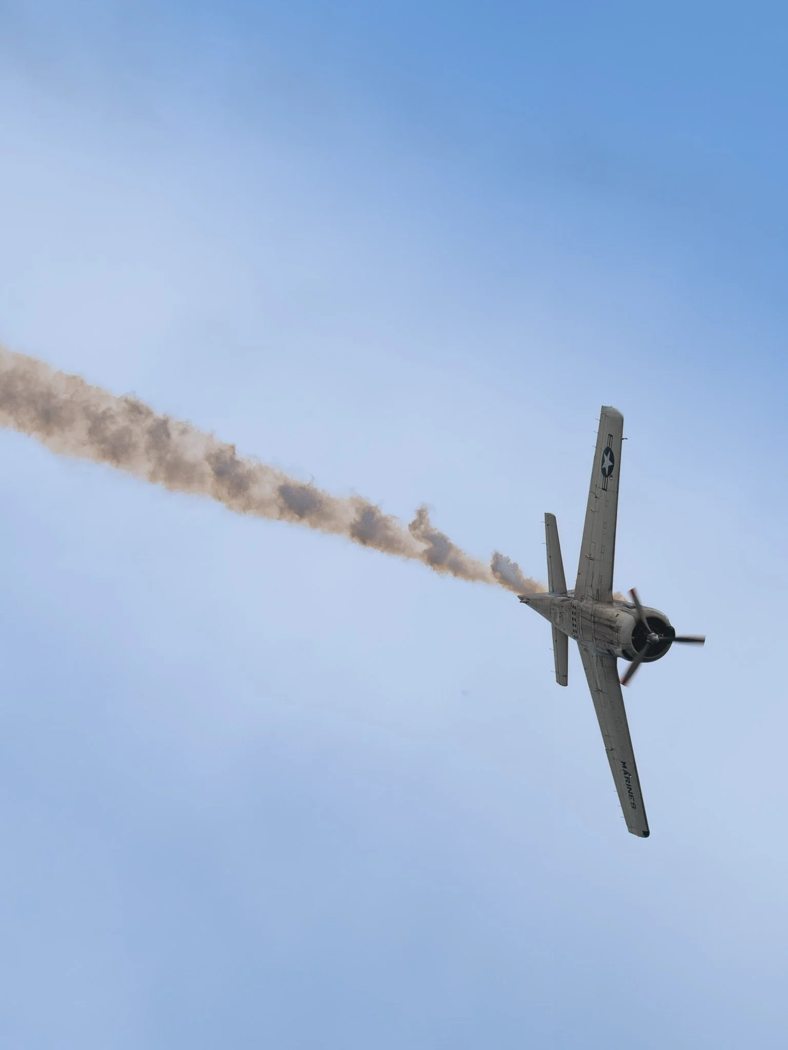 LZ8_3718.jpg