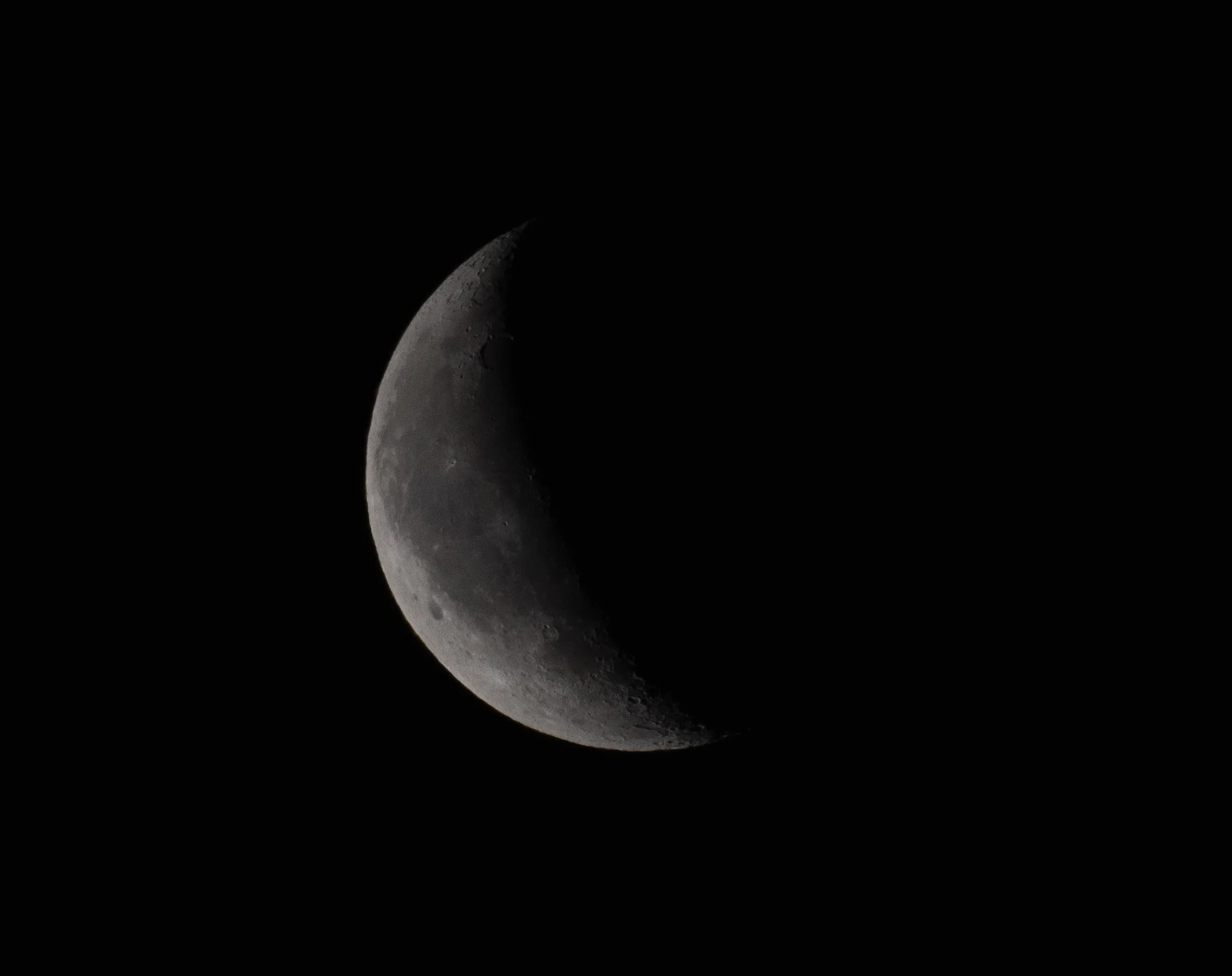 DSC_6799.jpg