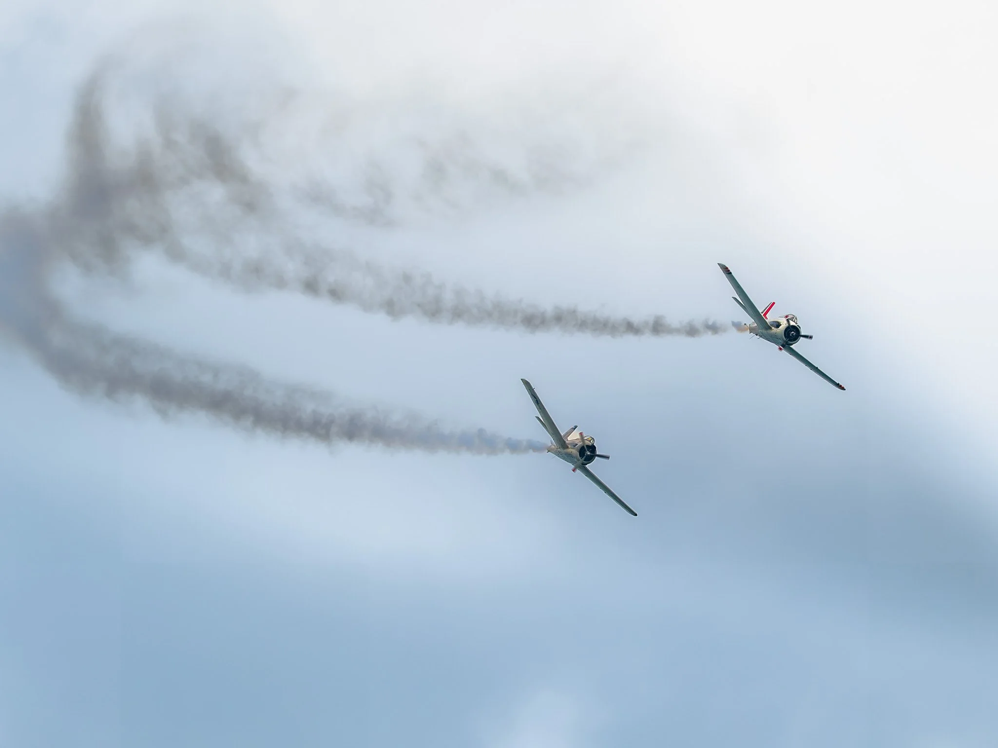 LZ8_3790.jpg
