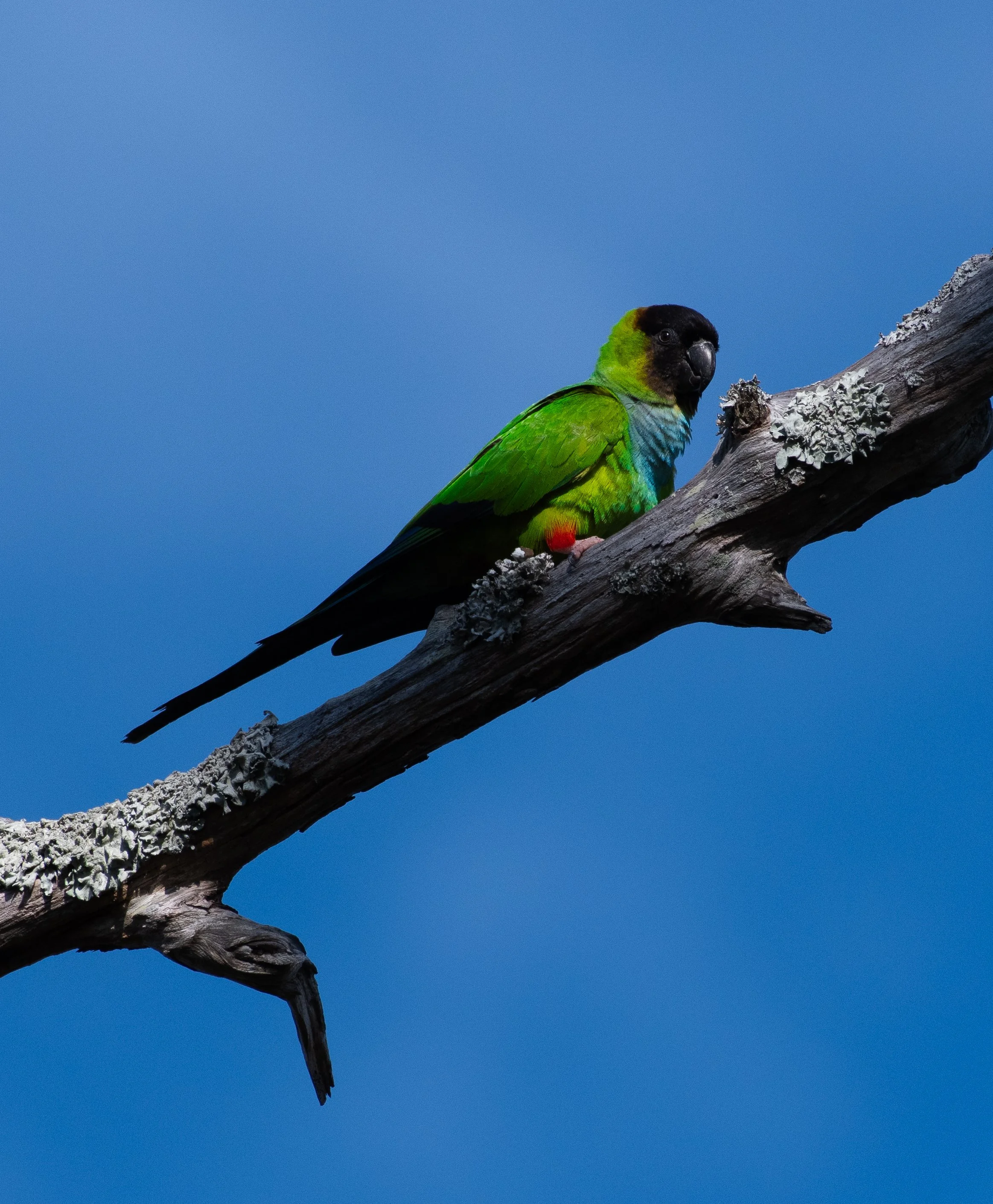 DSC_7788.jpg