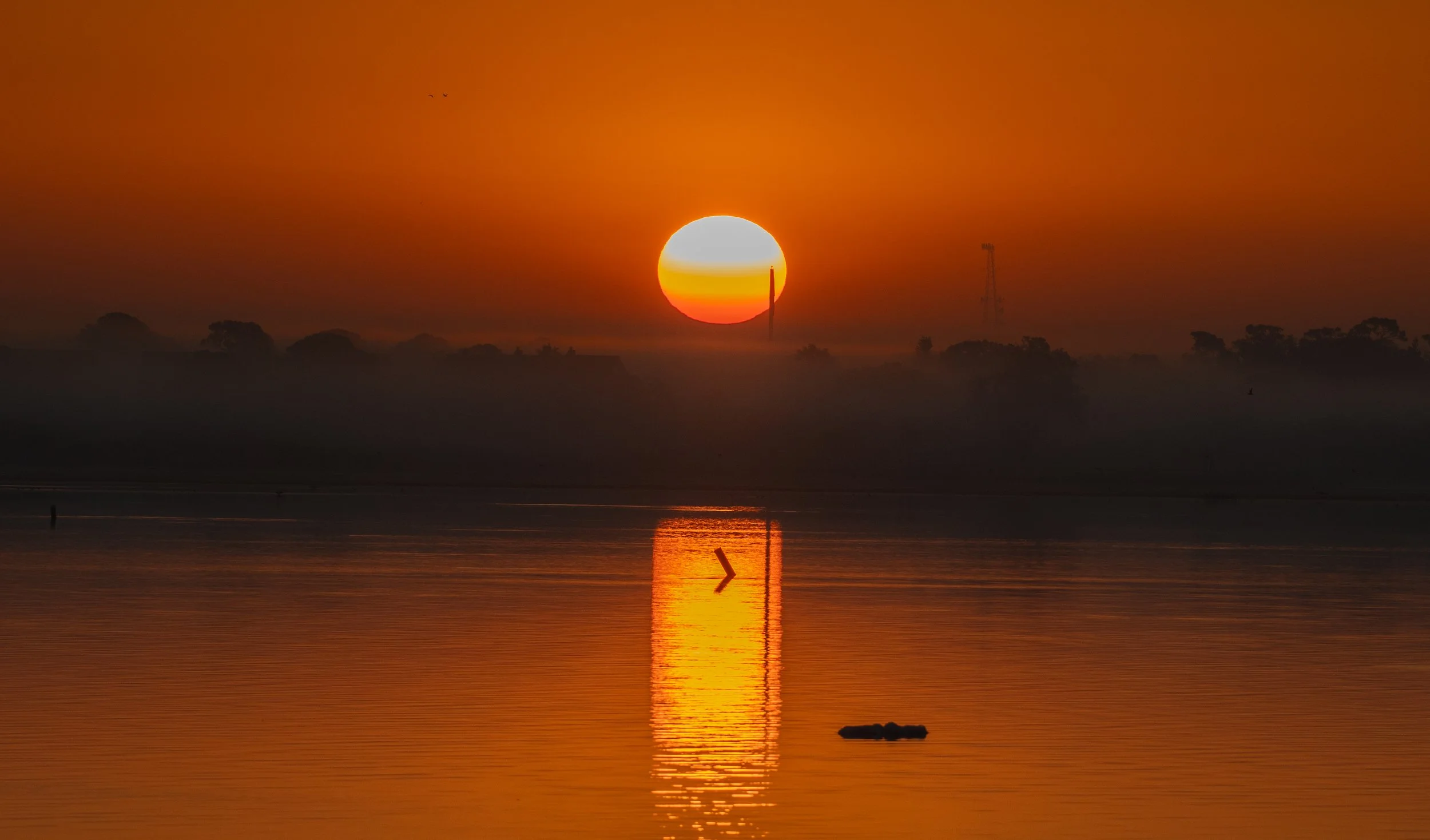 Florida Fire Sunrise