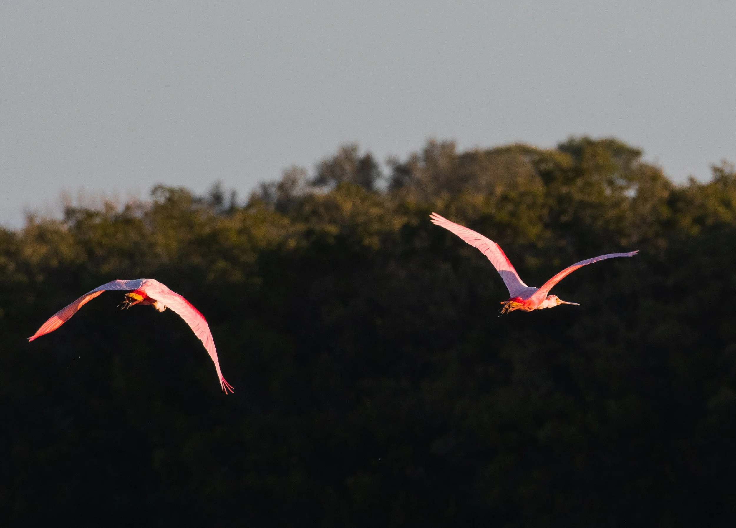 DSC_5658.jpg