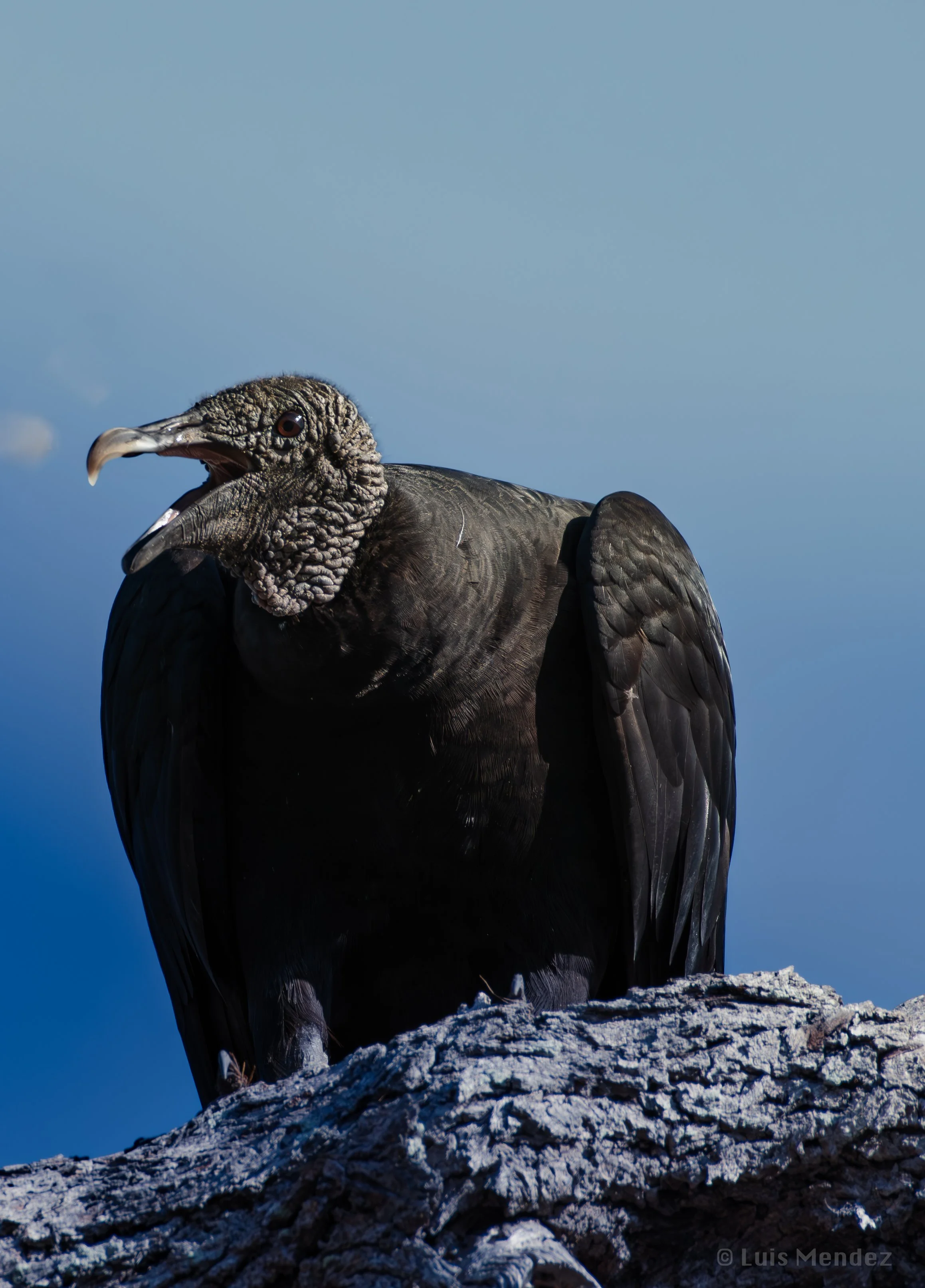 DSC_6422.jpg