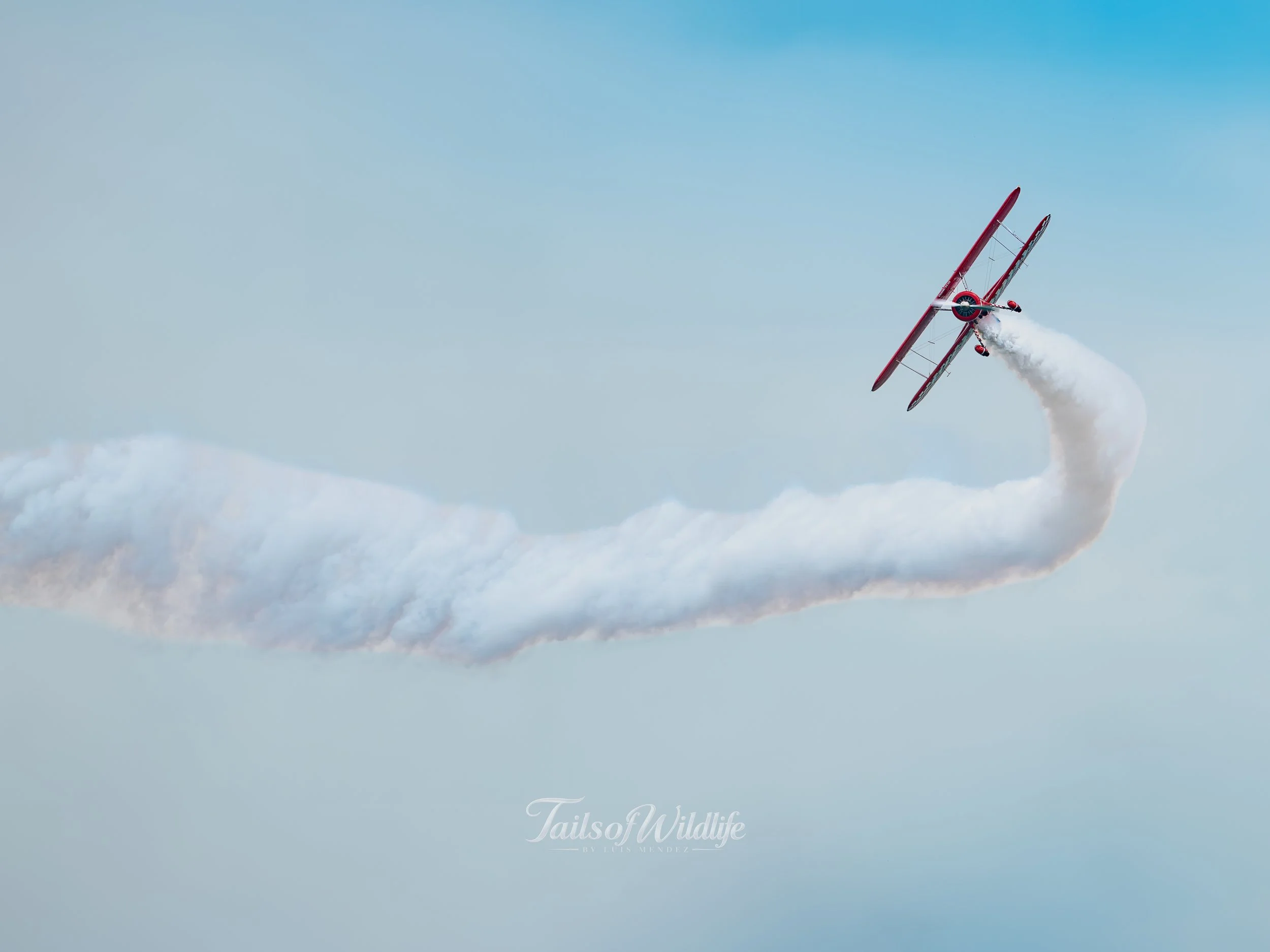 LZ8_3910.jpg
