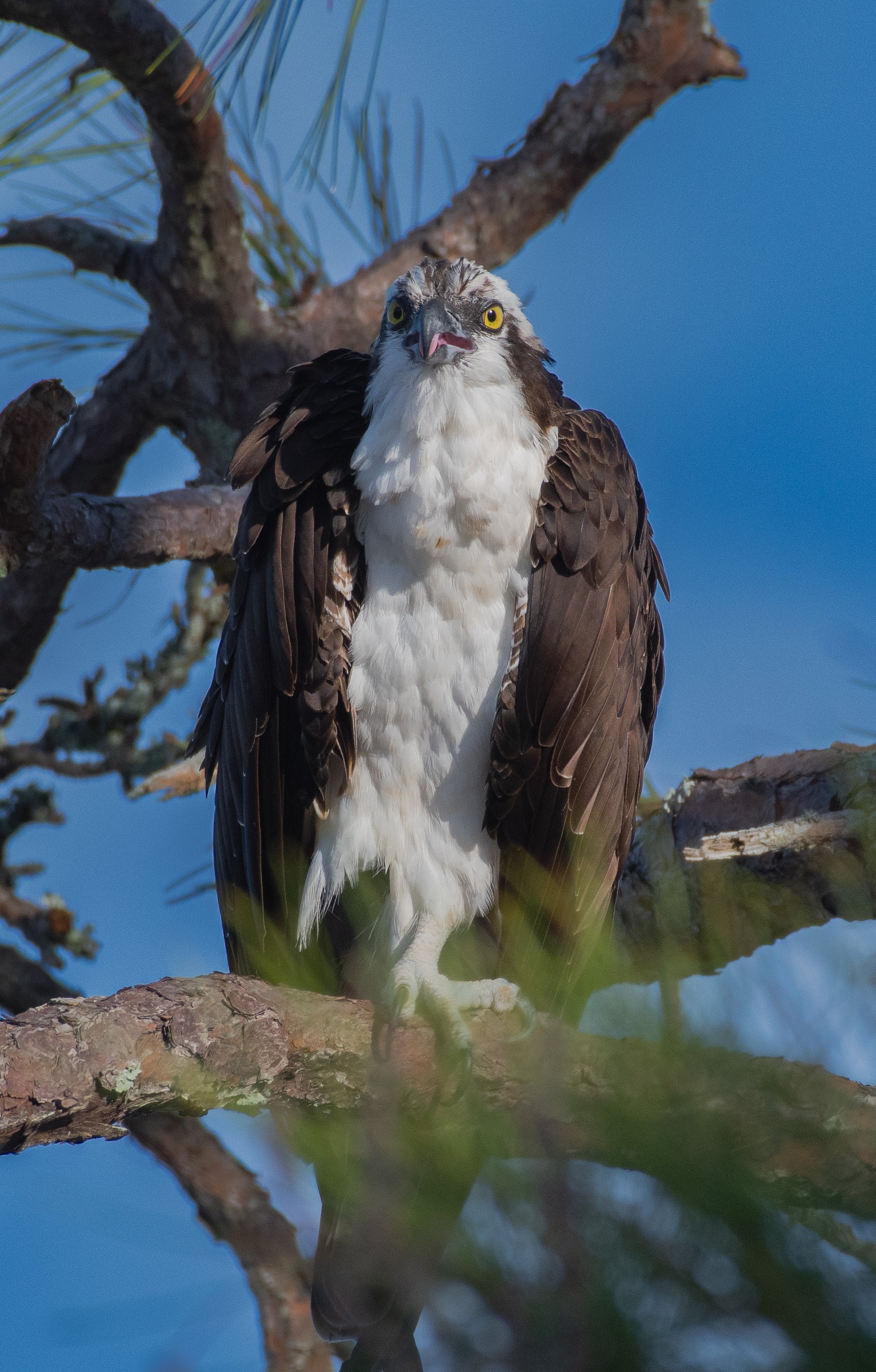 DSC_4304.jpg