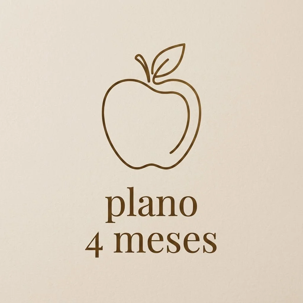 Plano de 4 Meses