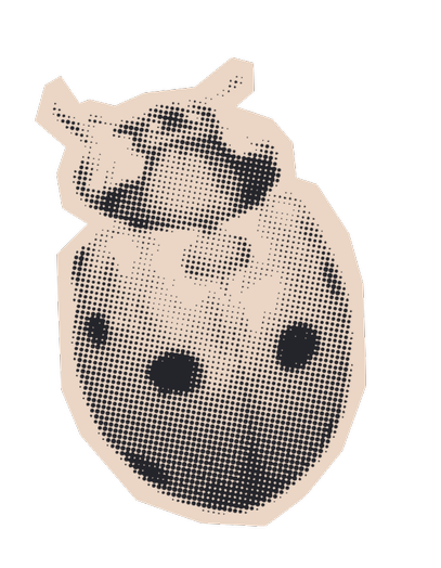 12.png