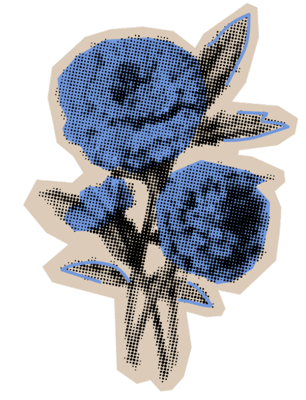 13.png