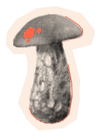 12.png