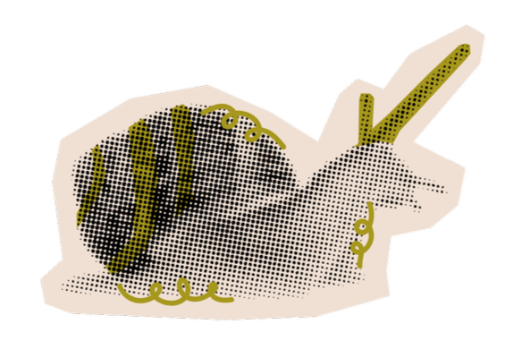 21.png