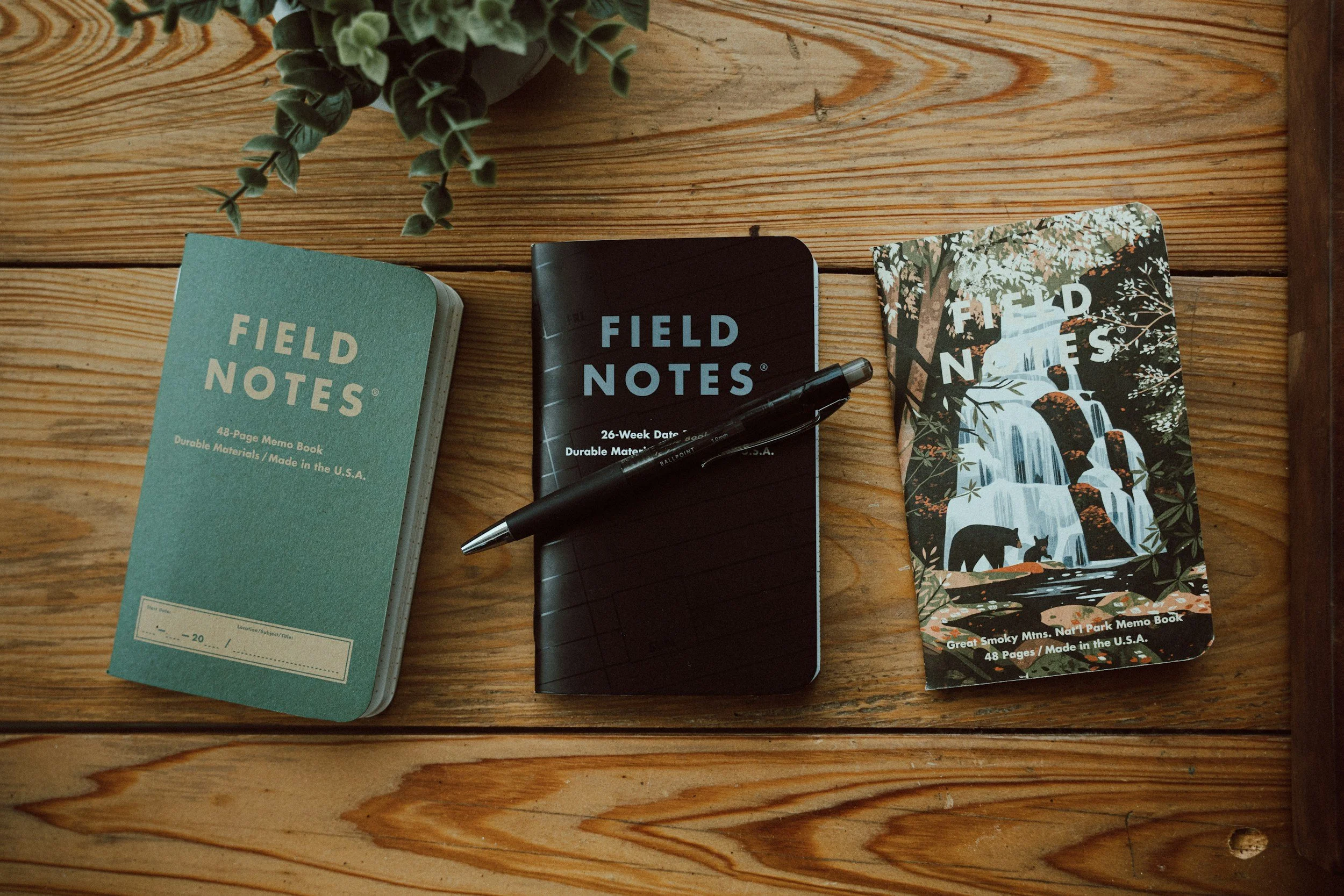 Three Field Notes notebooks, one teal, one black, and one with a scenic mountain waterfall cover, along with a black pen and a potted plant on a wooden surface.