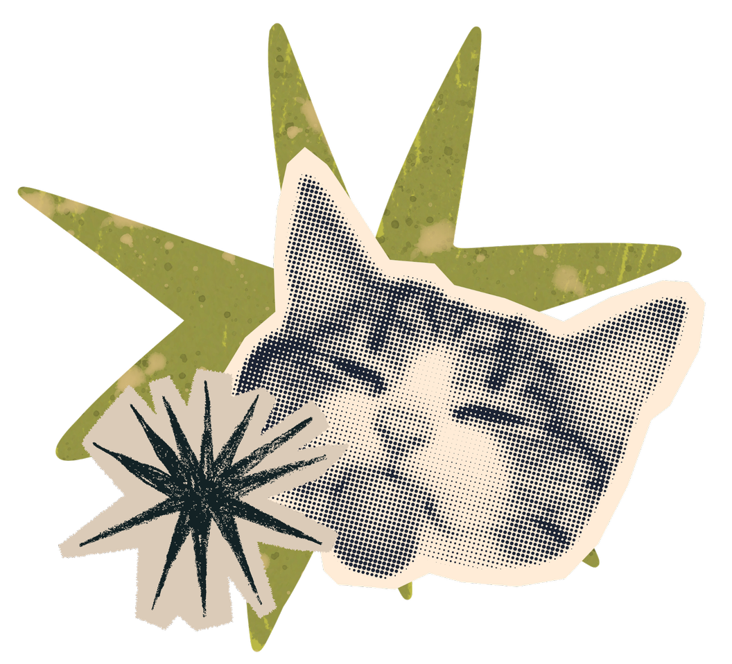 A digital collage of a woman's face in halftone style, green star-like shapes, and a black spiky plant illustration on a black background.