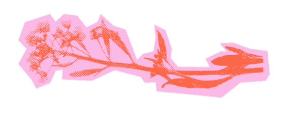Stylized pink and orange illustration of a leafless branch or twig