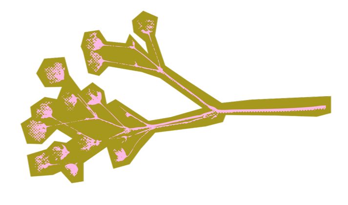 Digital illustration of a plant or tree with multiple branches and leaf clusters, using shades of pink and green on a black background.