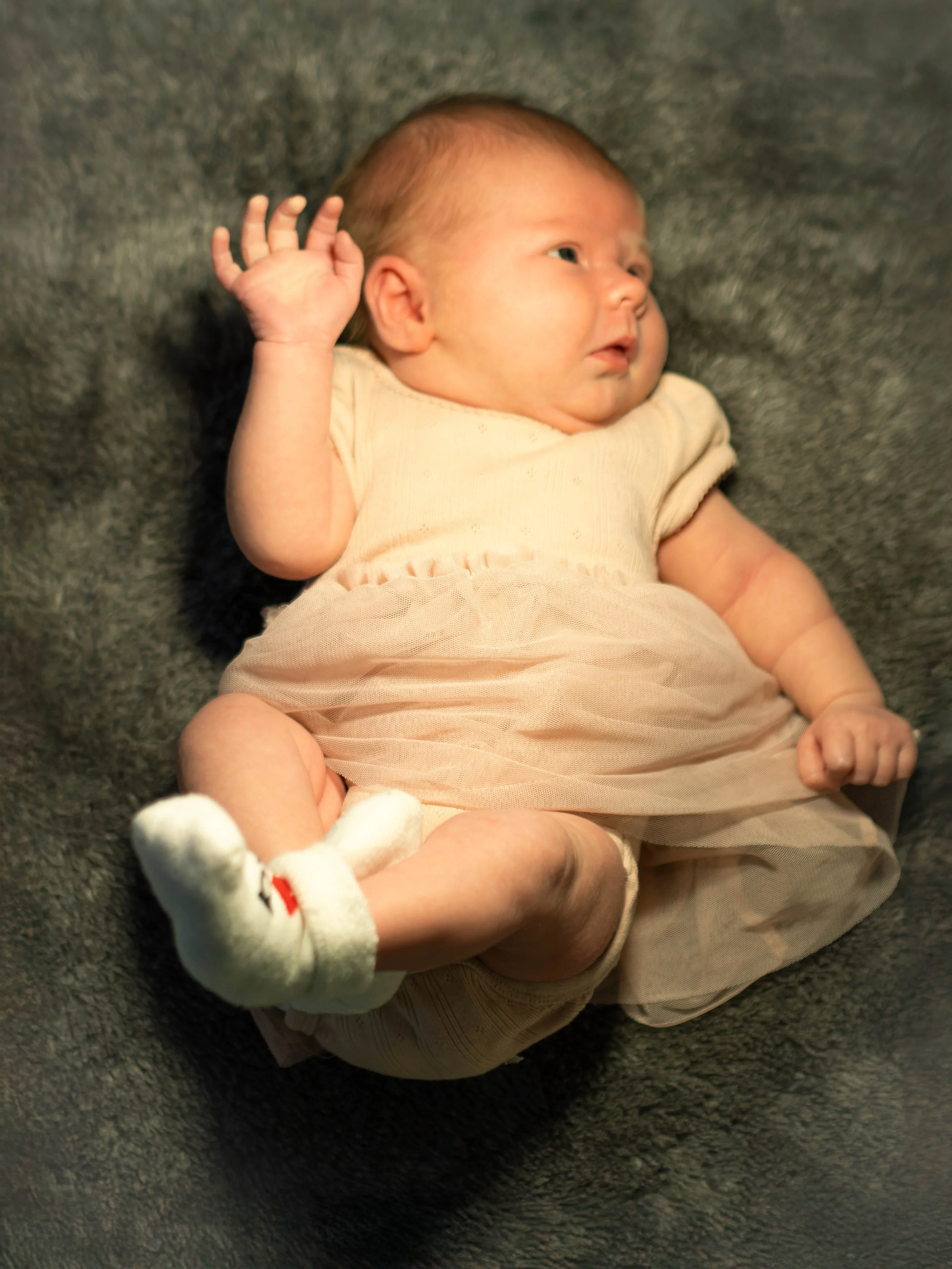 _3140034_DxO-Edit.jpg