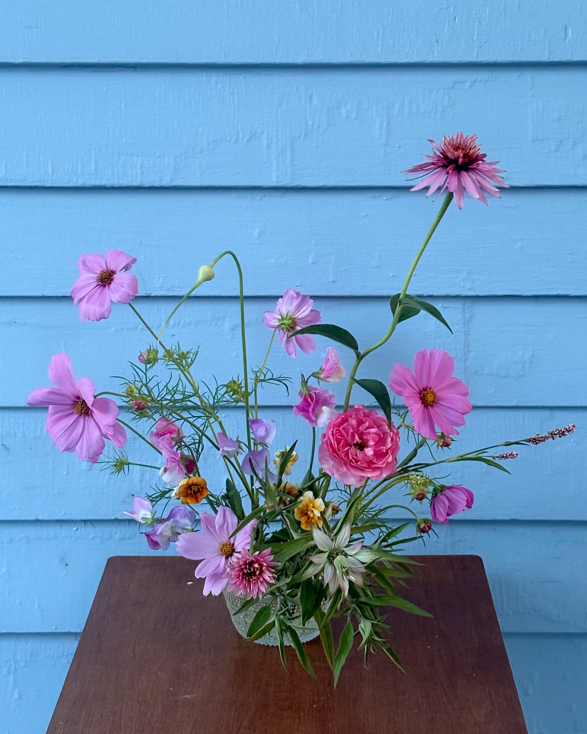 pinks.jpg