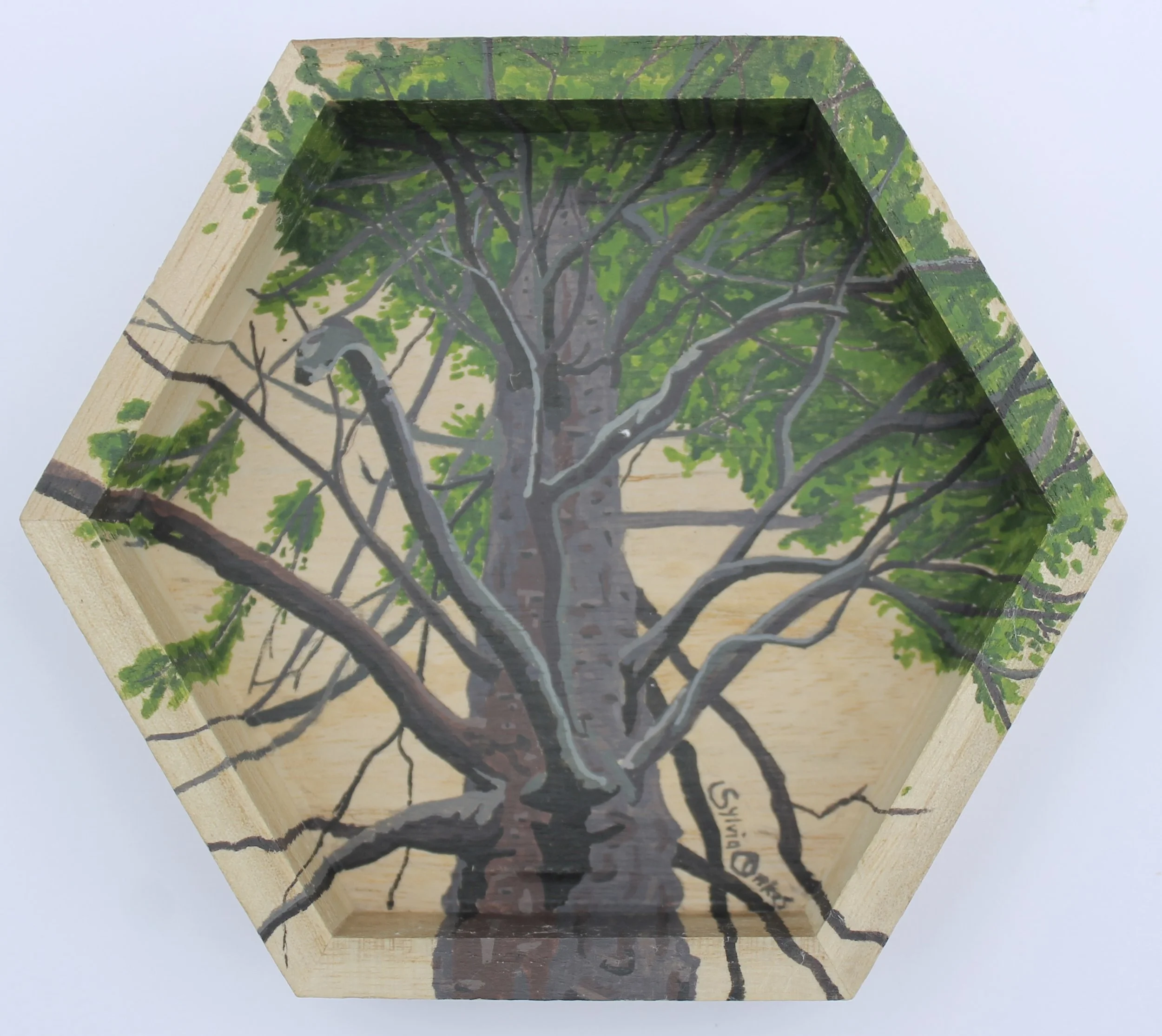 Dark Pine
5 x 5 in.
Wax Sealed Gouache on Wood
SOLD