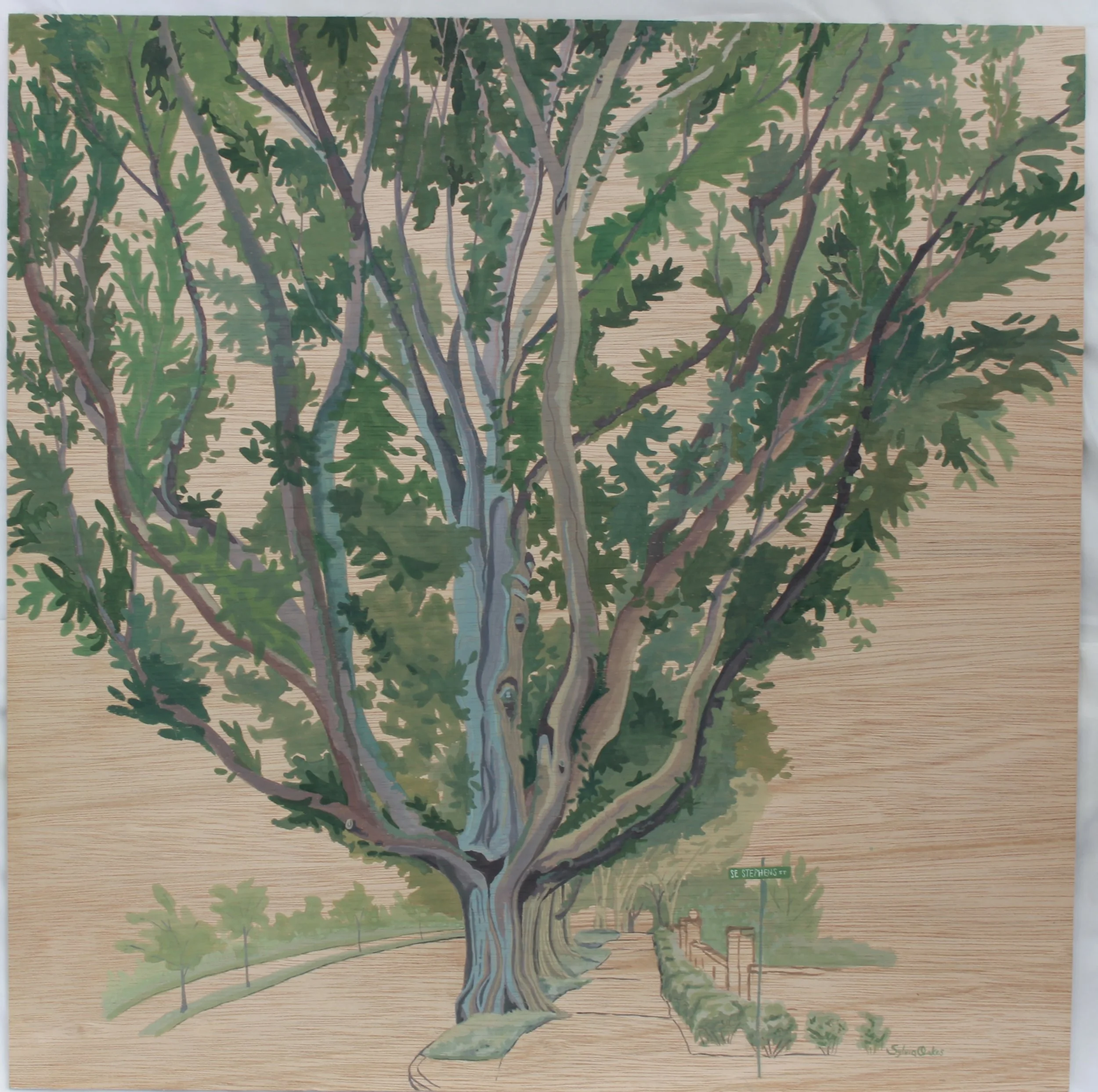 SE Stevens Street Tree 
24 x 24 in.
Wax Sealed Gouache on Wood