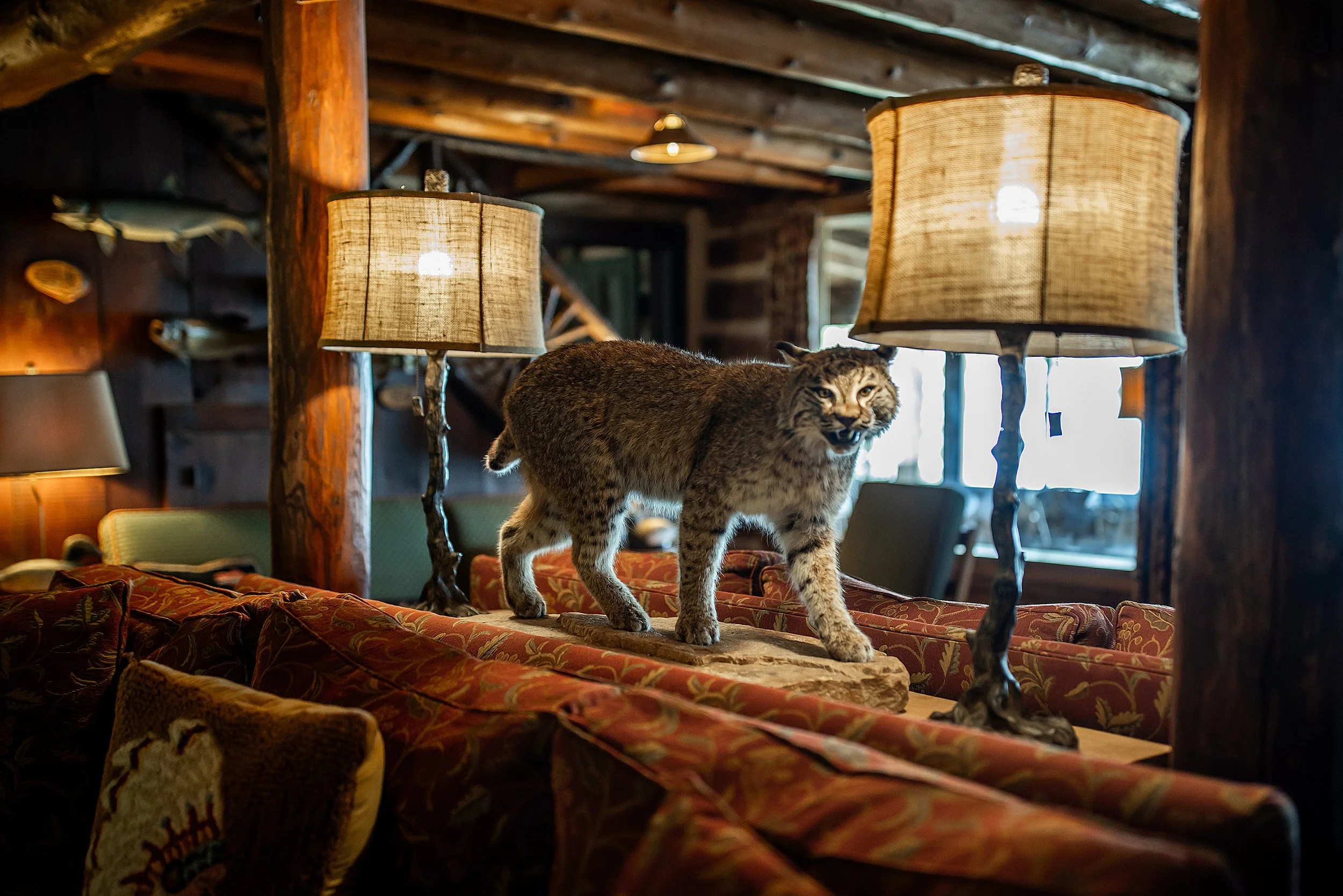 Coons_Summer2026-1125.jpg