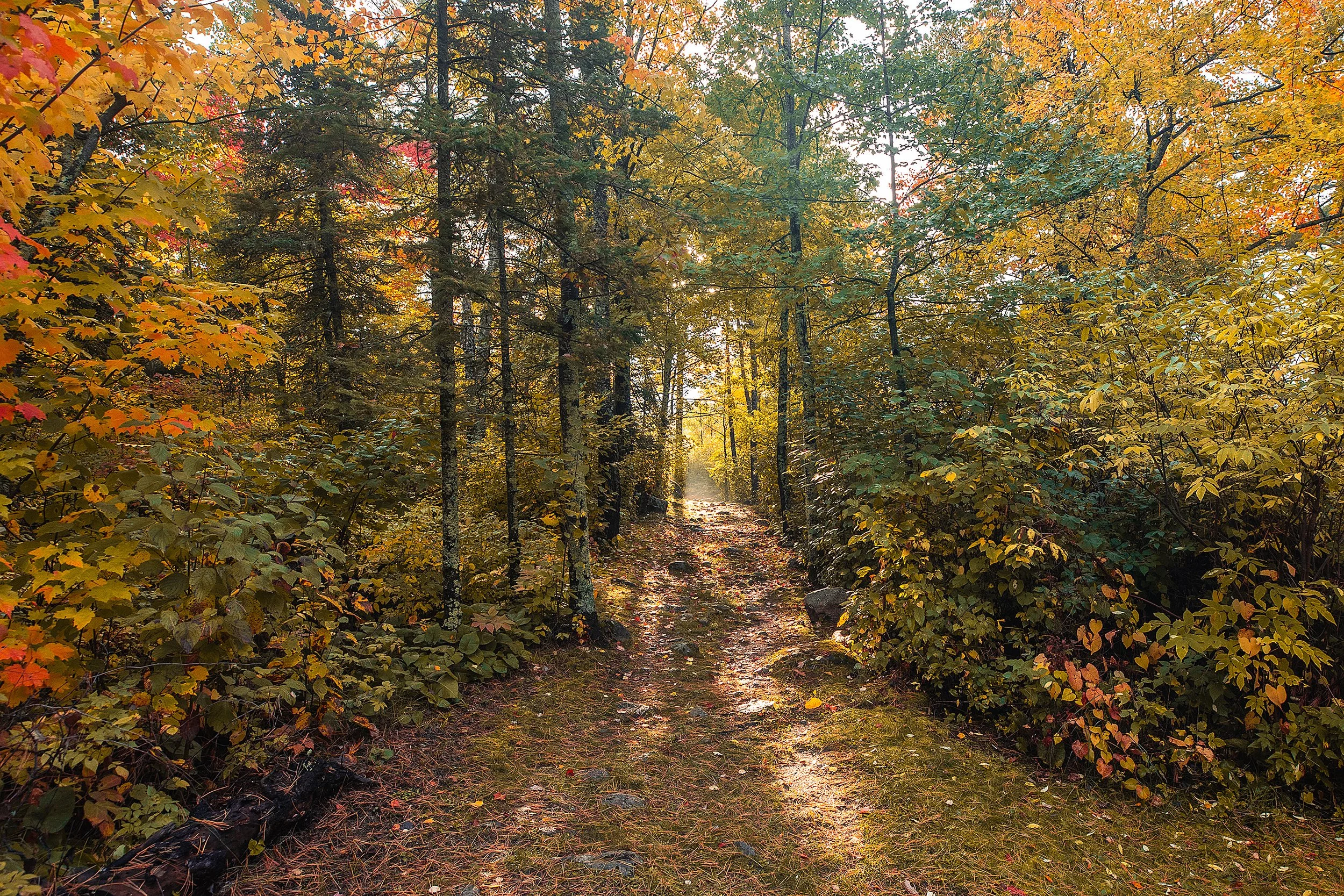MuskegoPoint_Sept2026-136.jpg