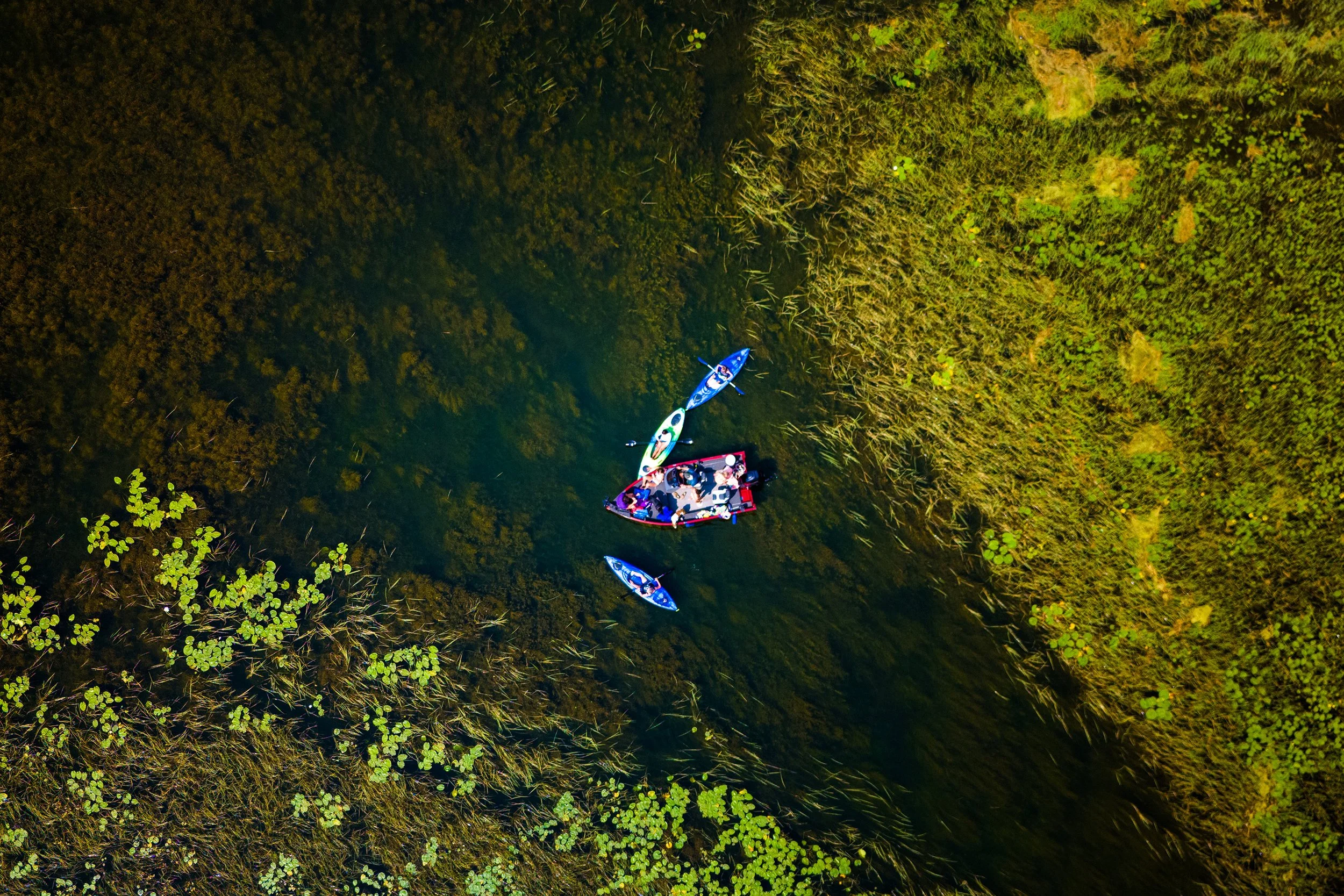 DJI_20260723150734_0781_D-13.jpg
