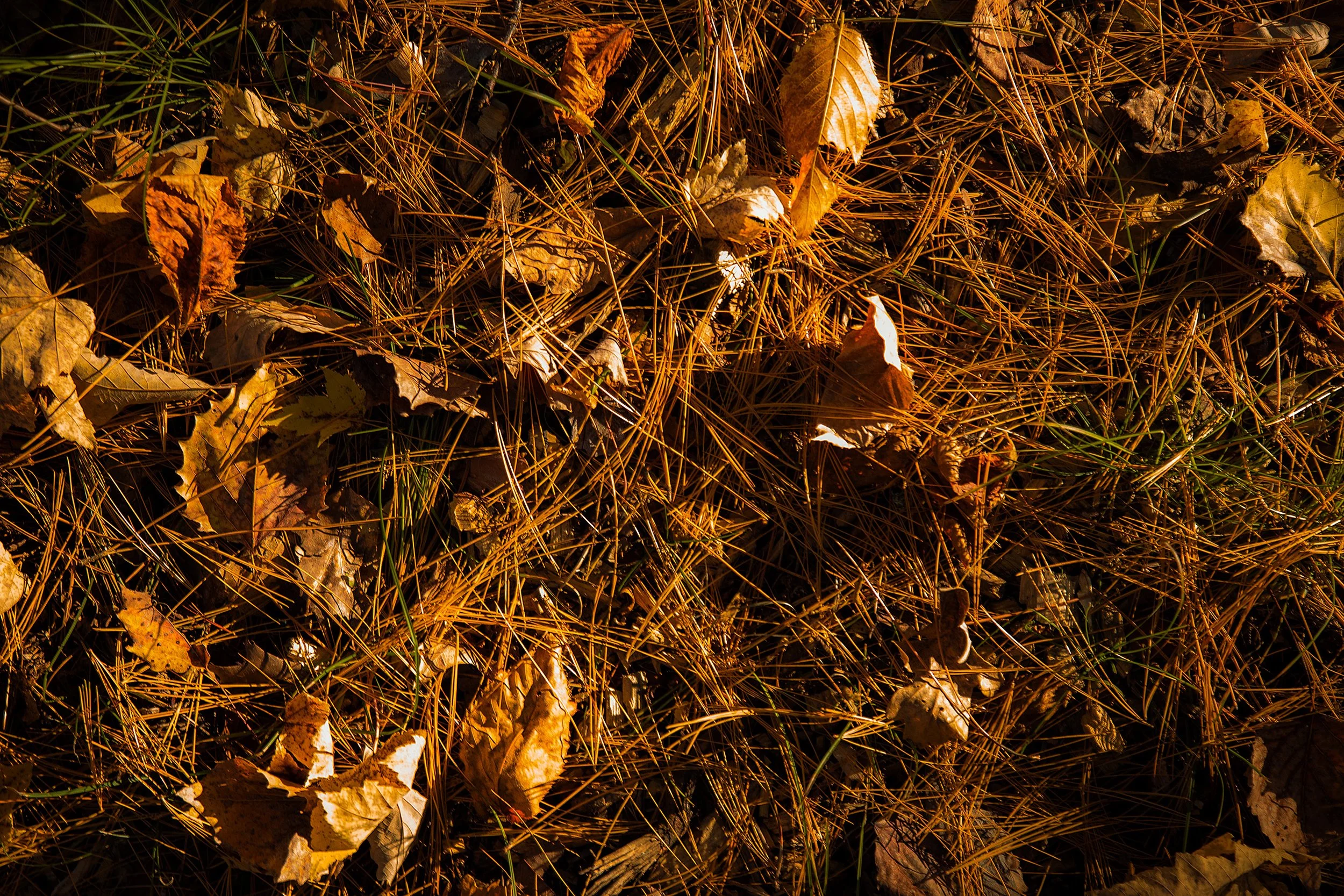 CuyunaCrossing_Oct2026-268.jpg