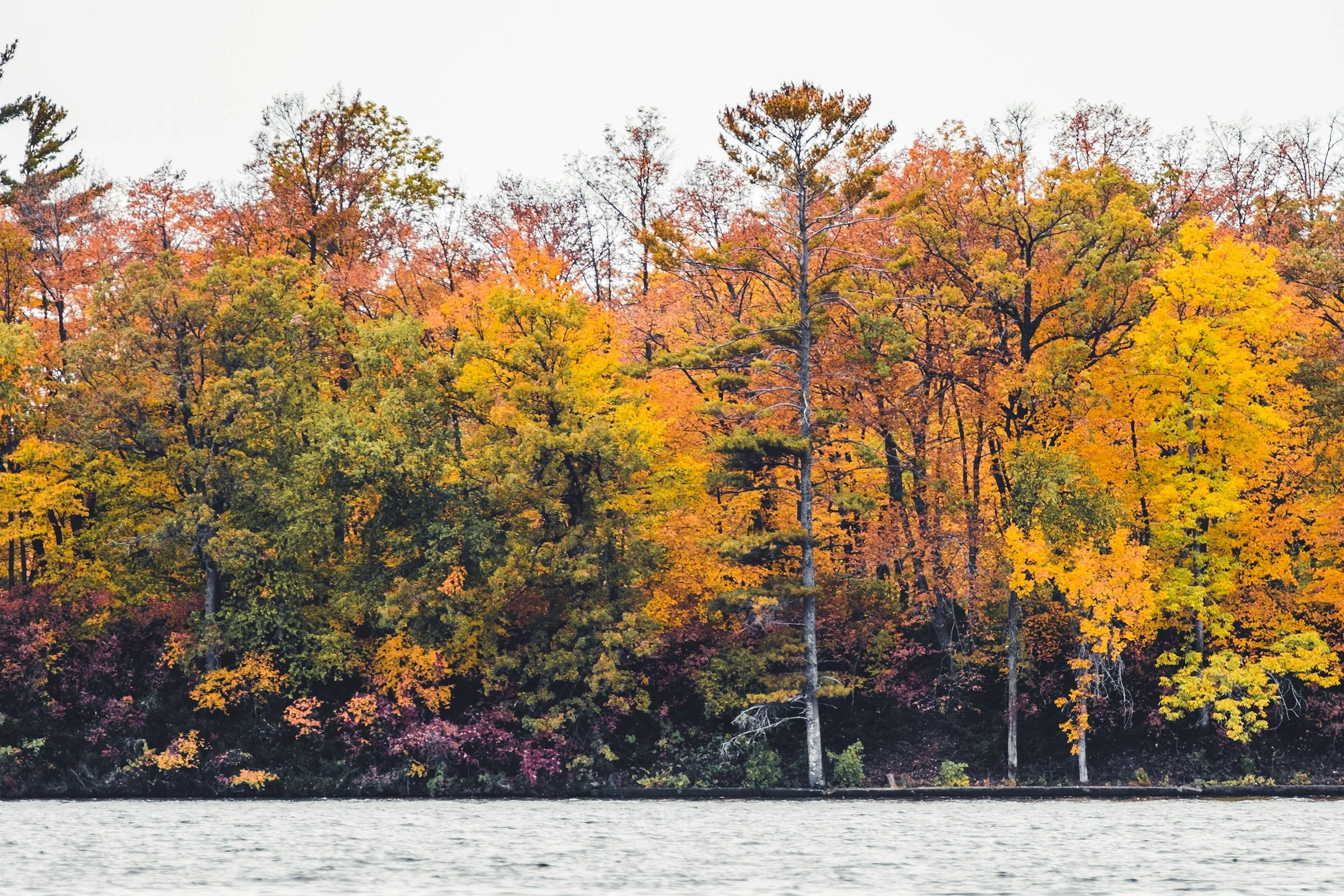 Stouts_Island_Fall2022-40.jpg