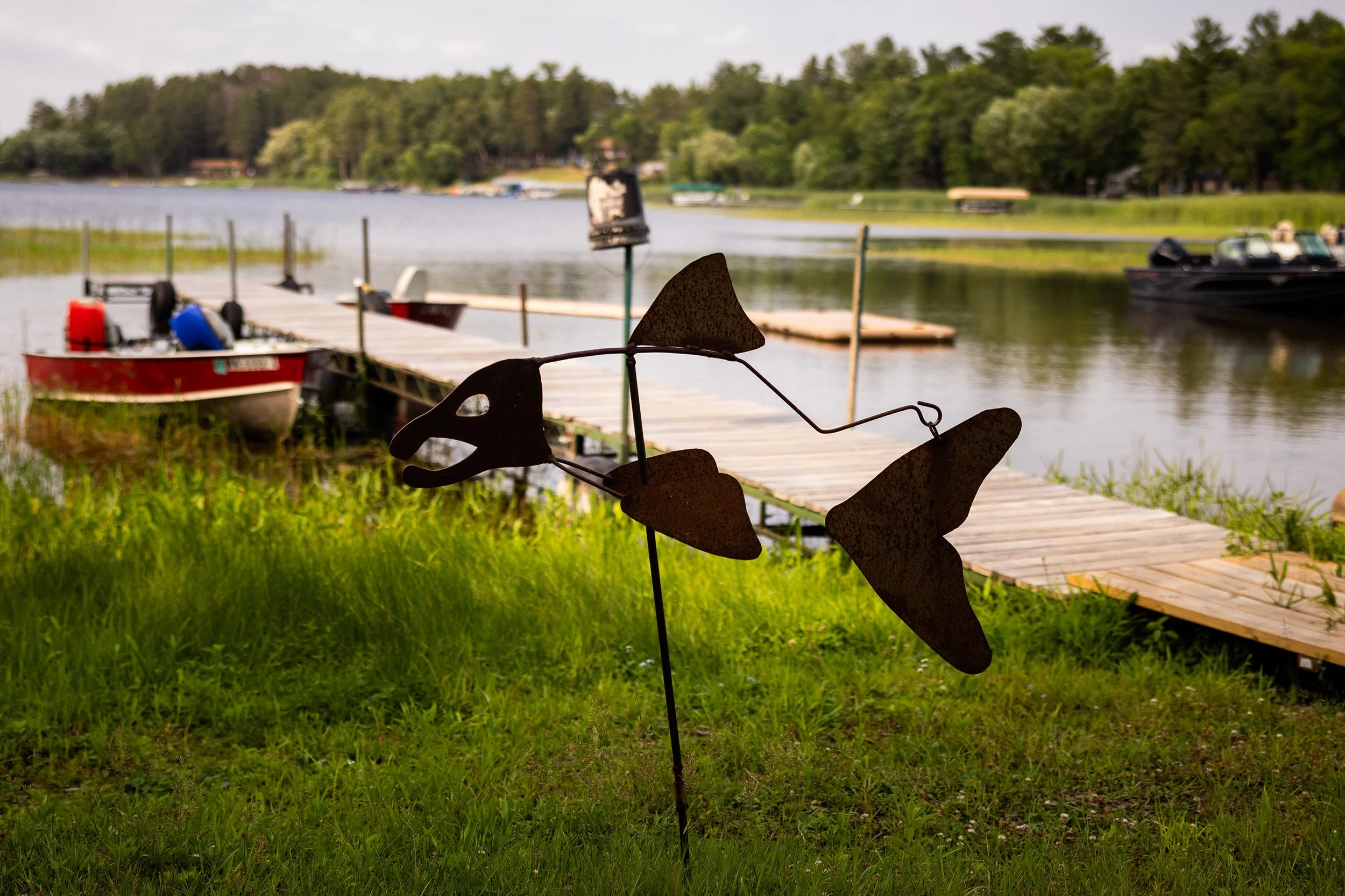 PineParkResort_Summer2026-27.jpg