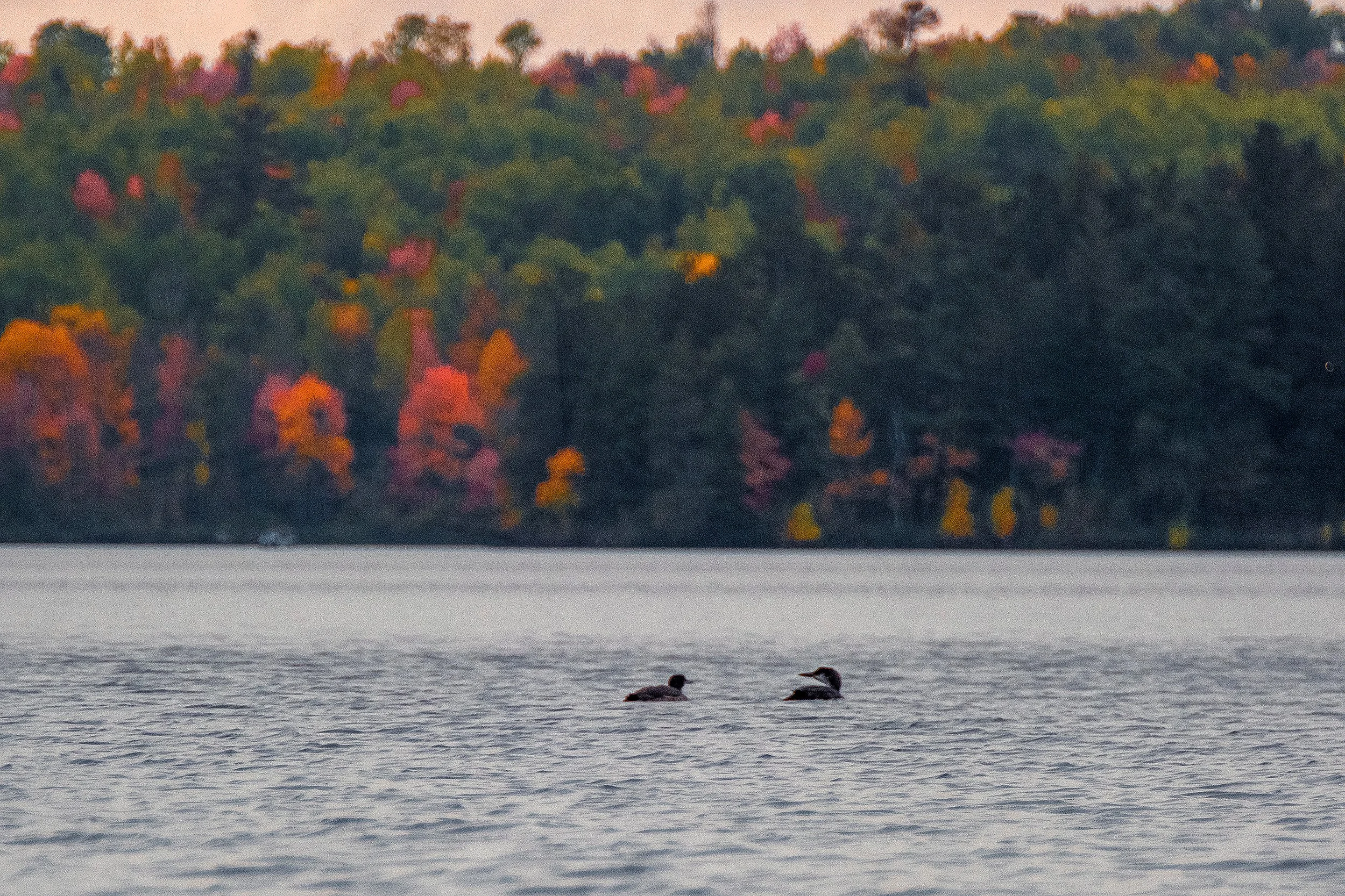 MuskegoPoint_Sept_2026-98.jpg