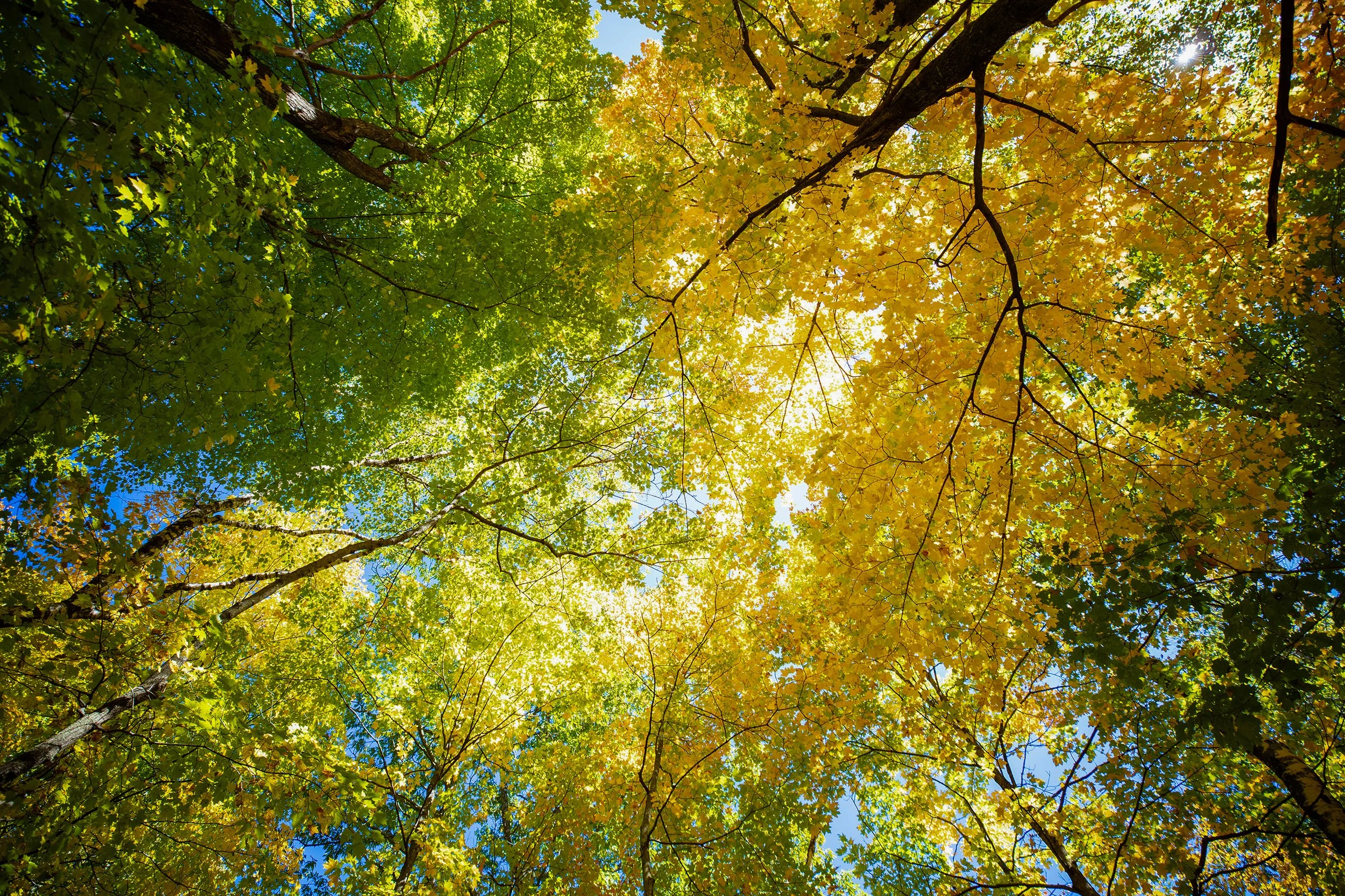Pitliks_Fall-73.jpg