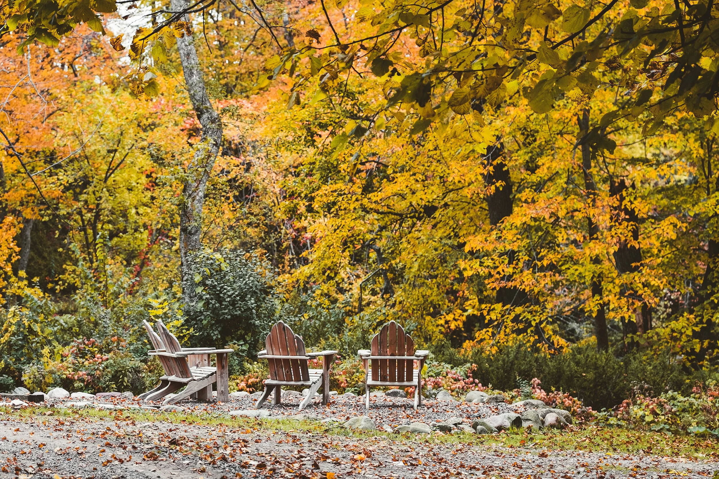 Stouts_Island_Fall2022-80.jpg