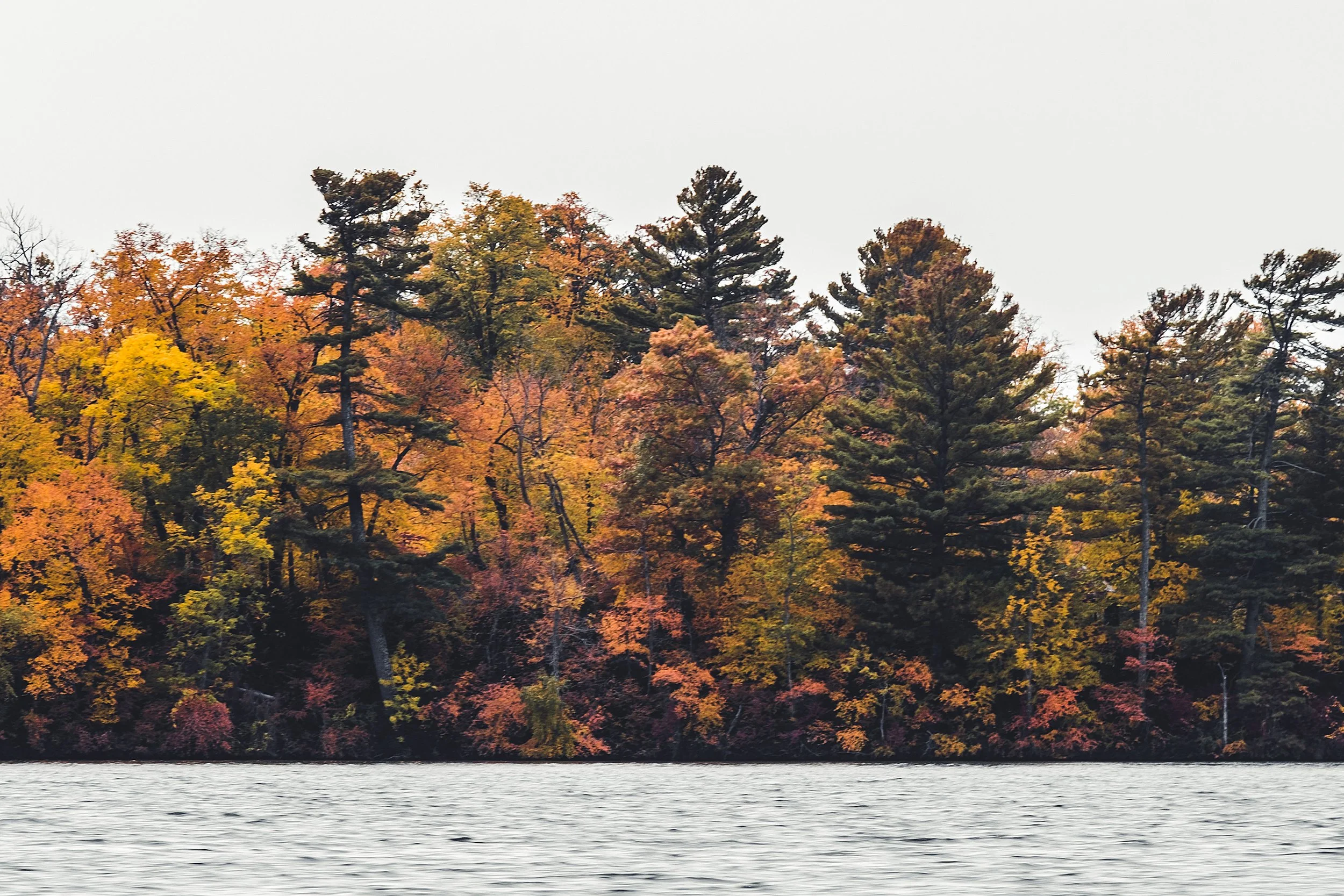 Stouts_Island_Fall2022-17.jpg
