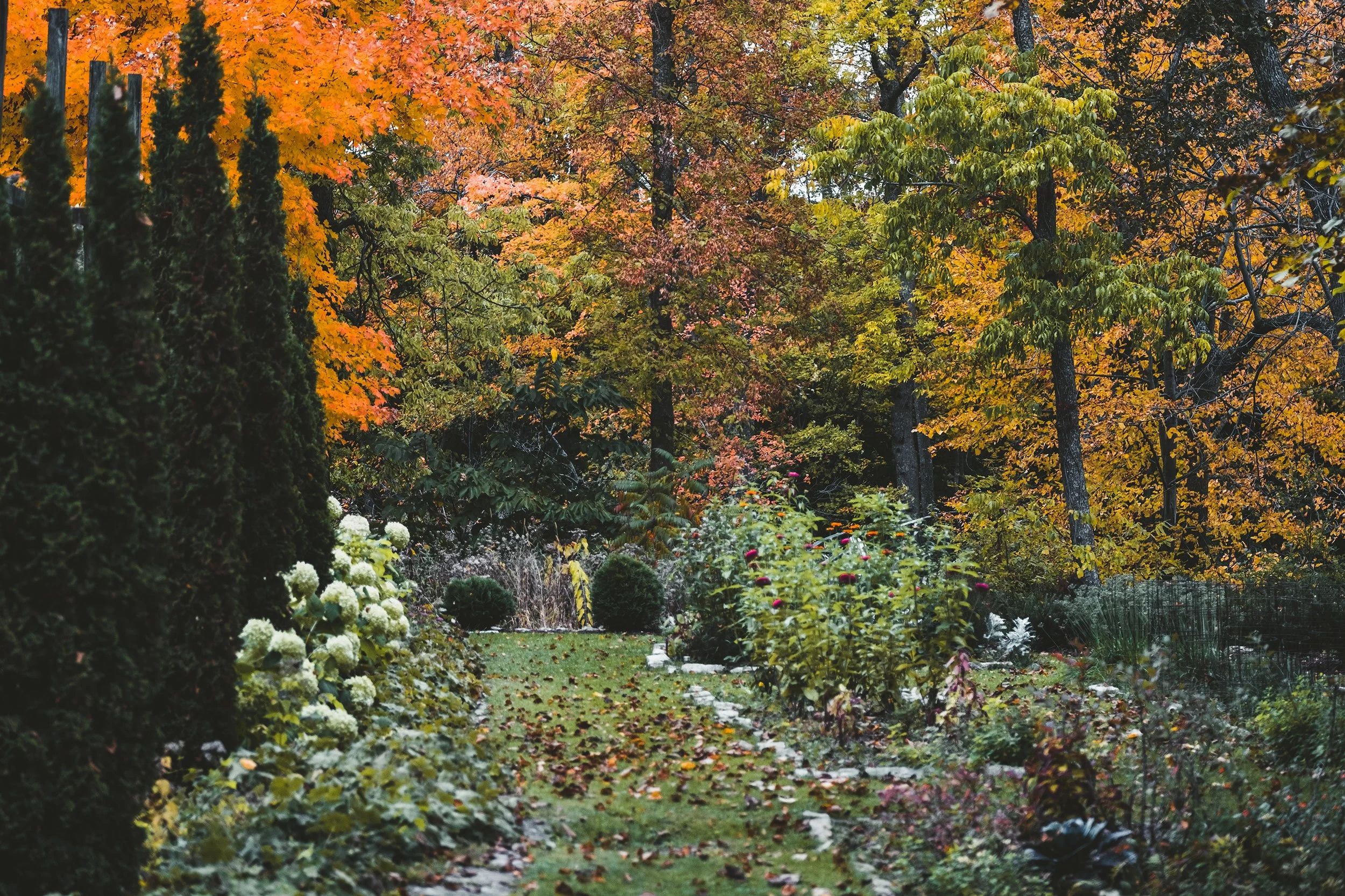 Stouts_Island_Fall2022-78.jpg