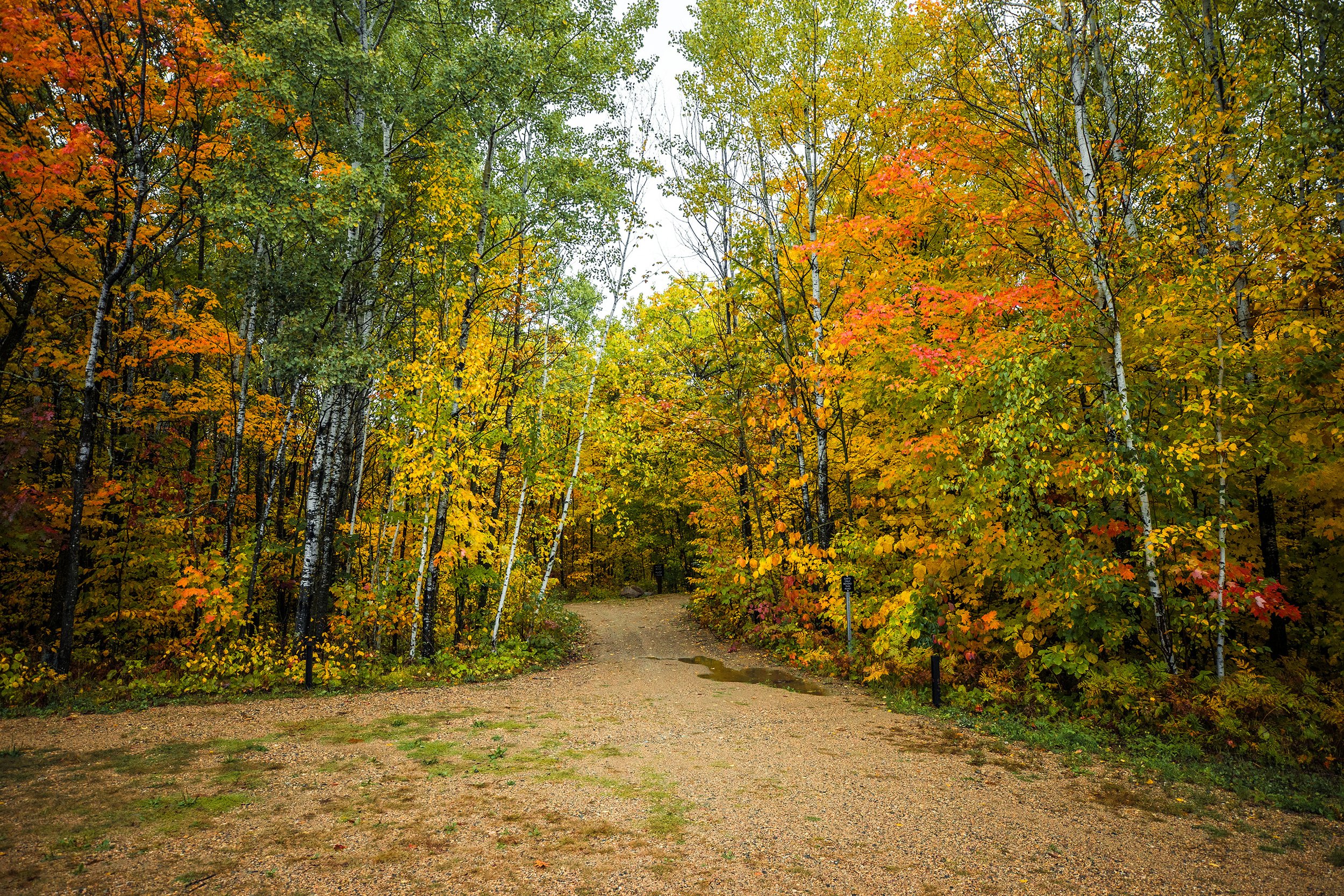 NorthwoodsAFrame_Sept_2026-241.jpg