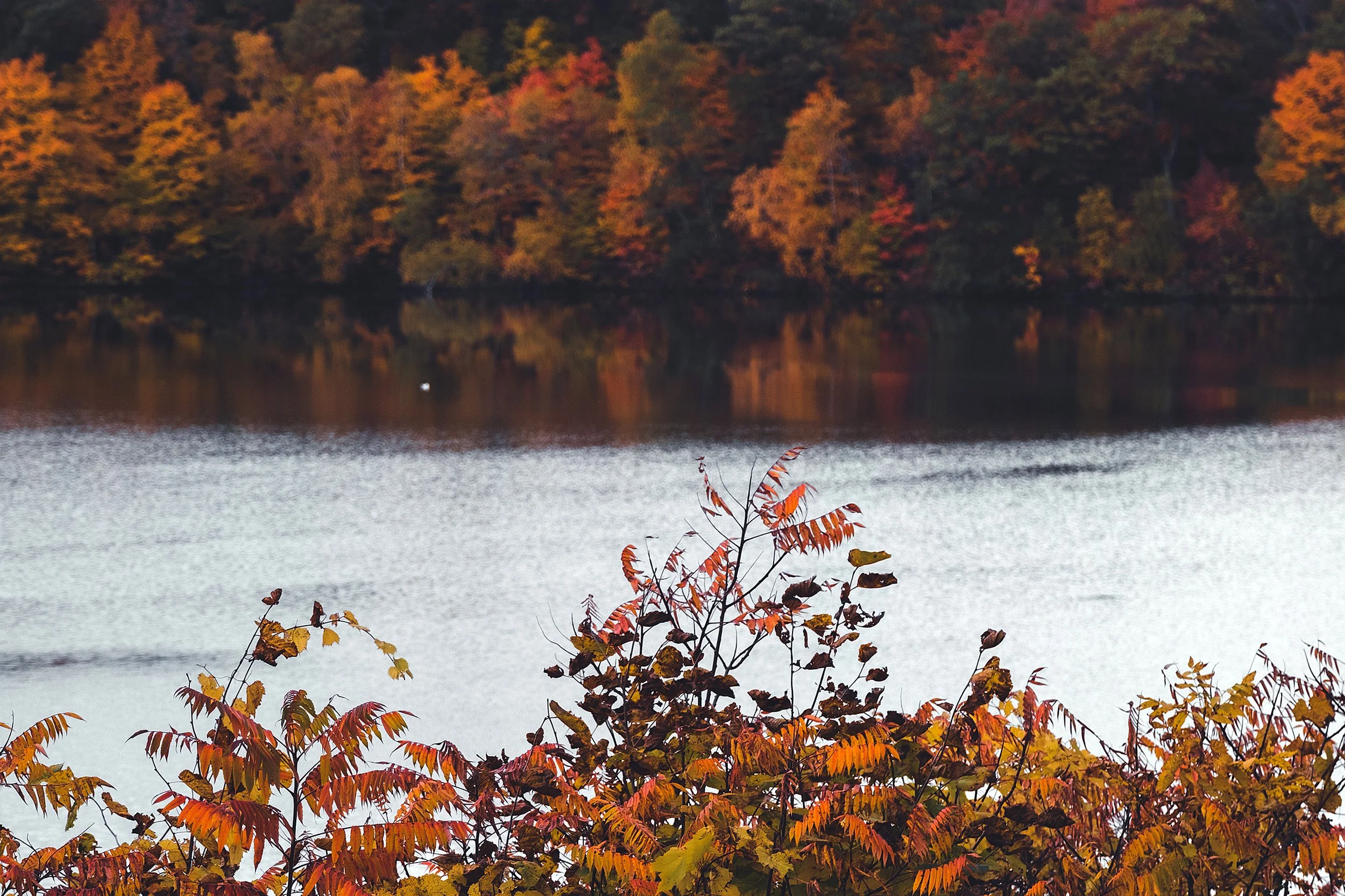 Stouts_Island_Fall2022-152.jpg