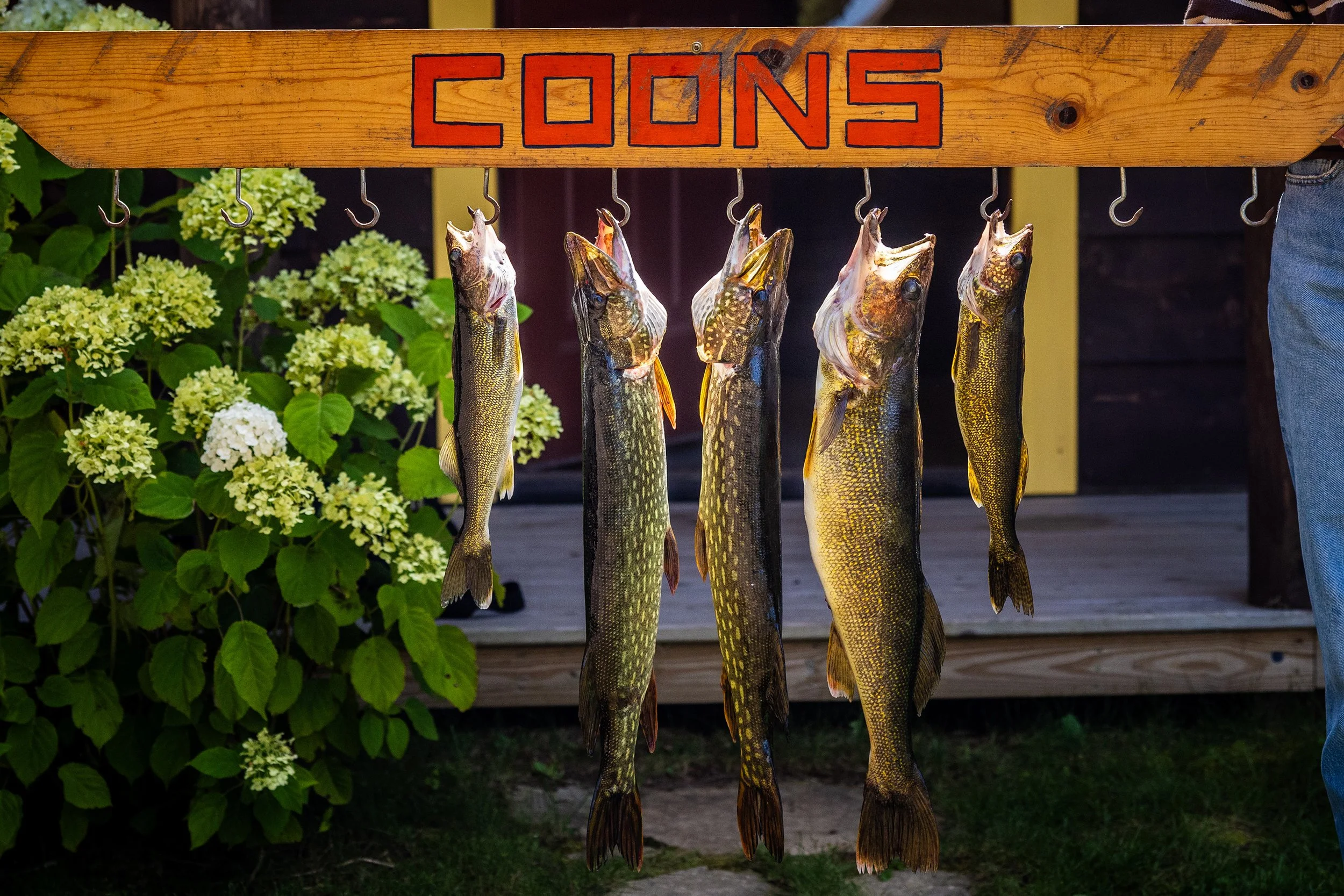Coons_Summer2026-172.jpg