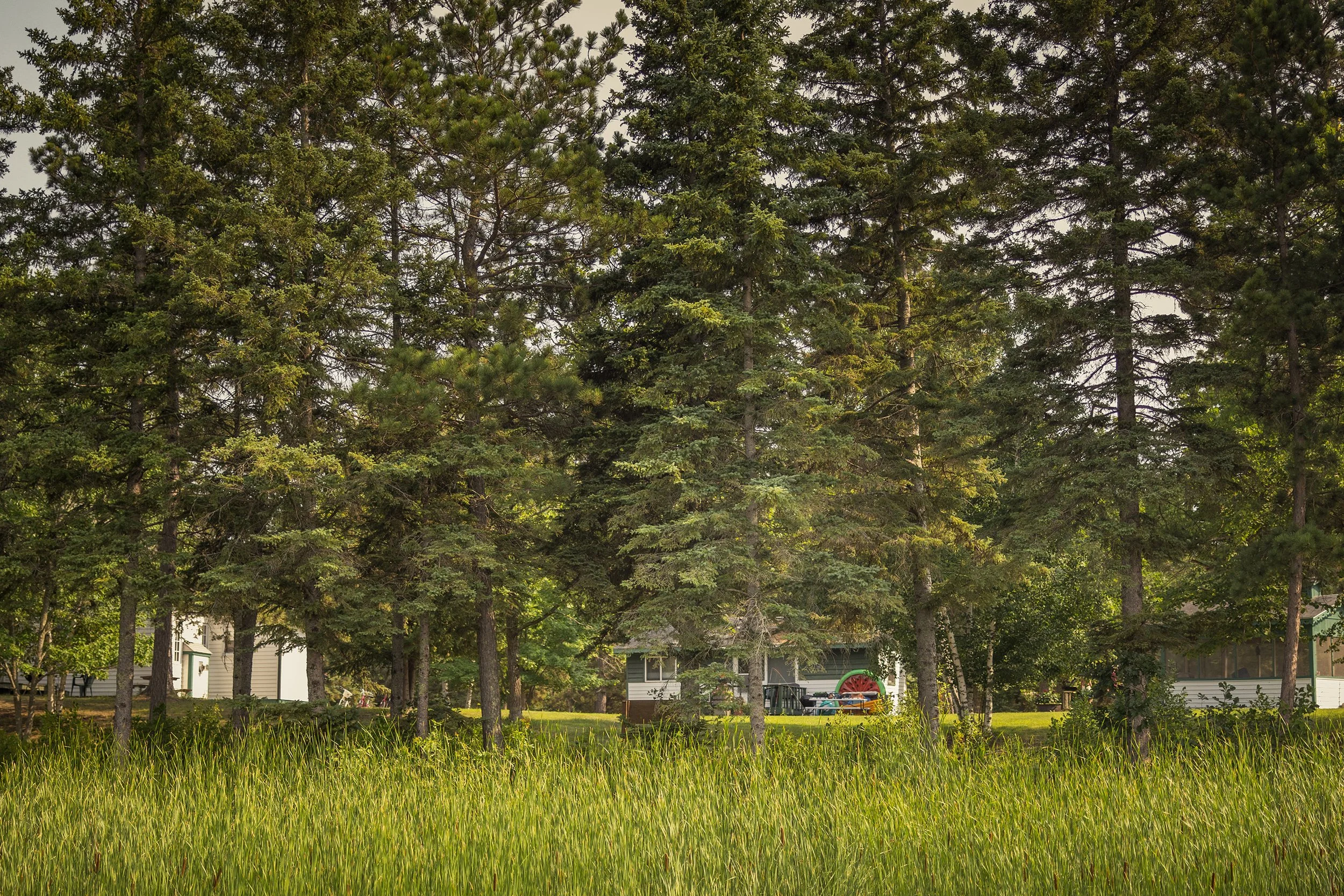 PineParkResort_Summer2026-36.jpg