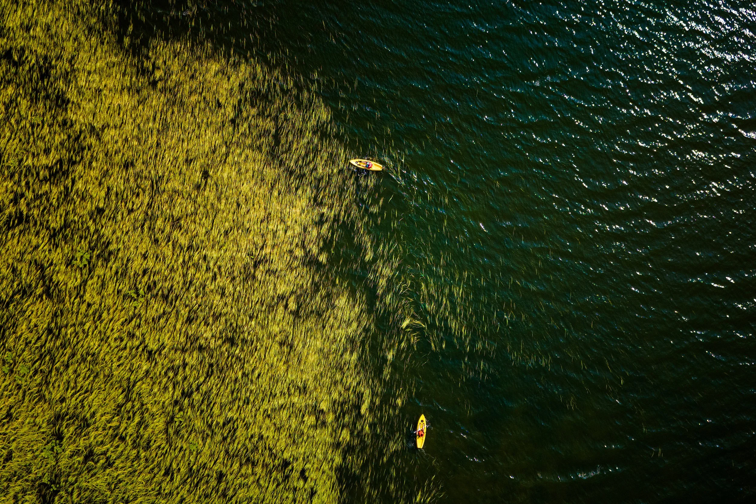 DJI_20260723162605_0812_D-20.jpg