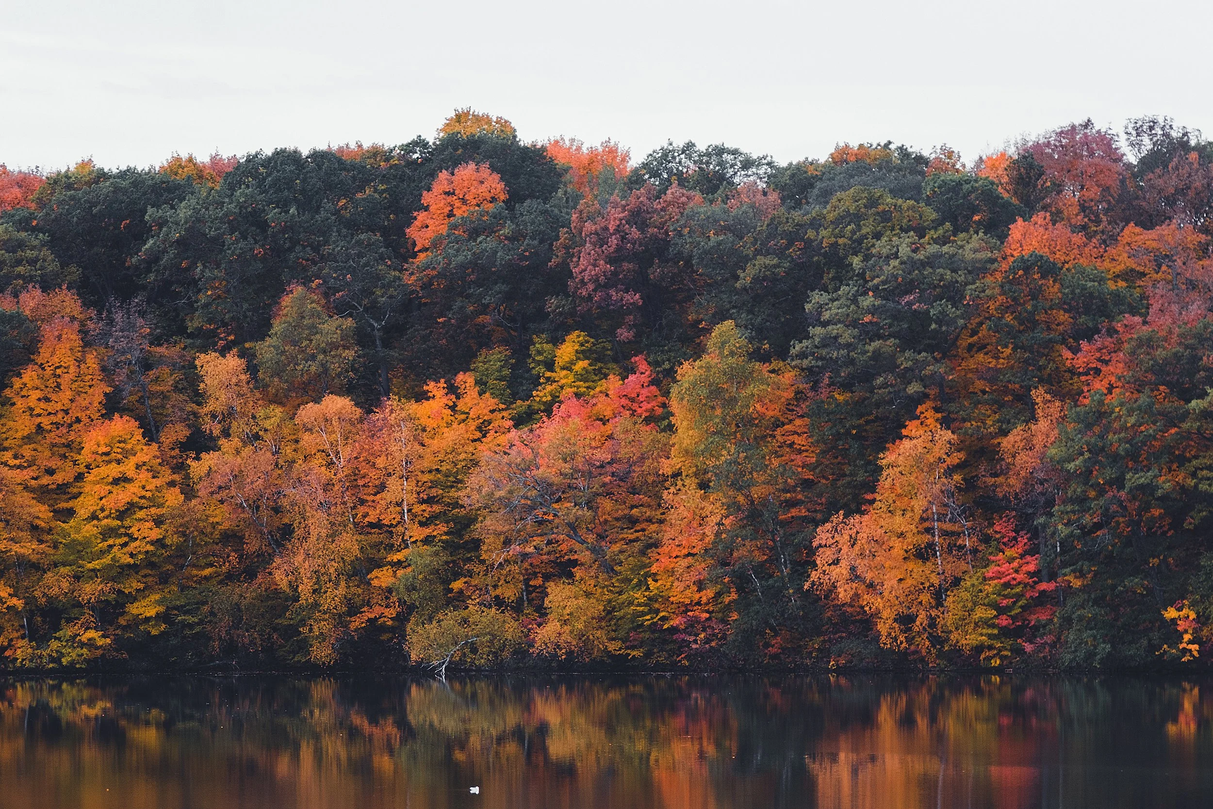 Stouts_Island_Fall2022-154.jpg